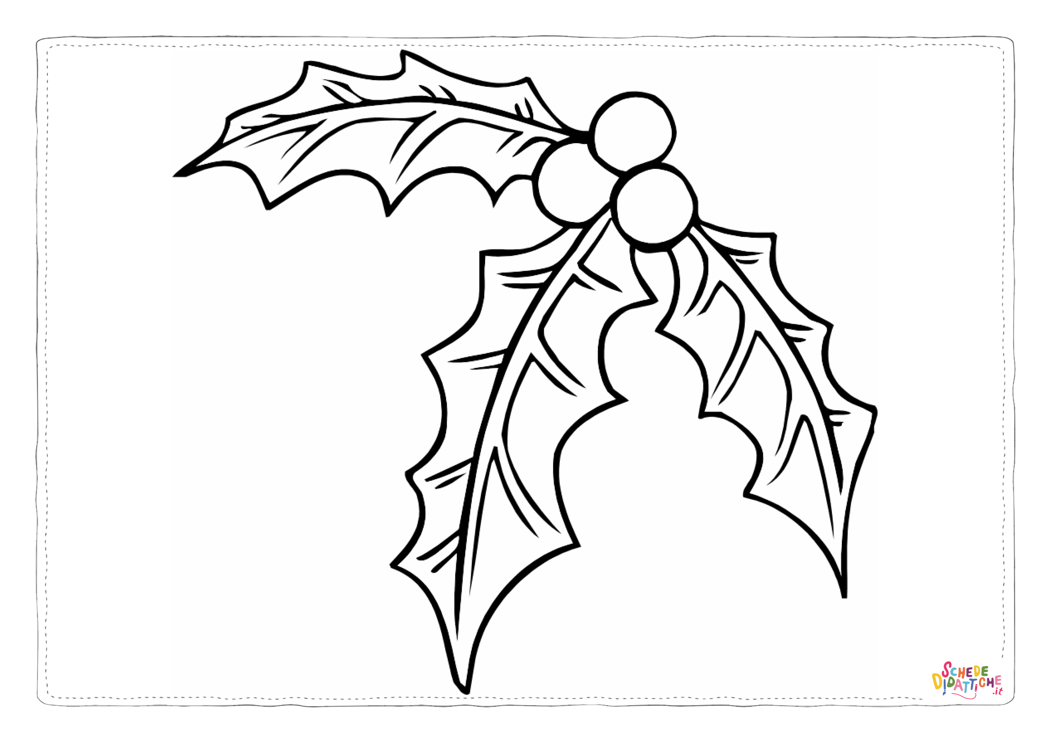 Disegno "Disegno di pungitopo da stampare e colorare 2" Disegno di pungitopo da stampare e colorare 2