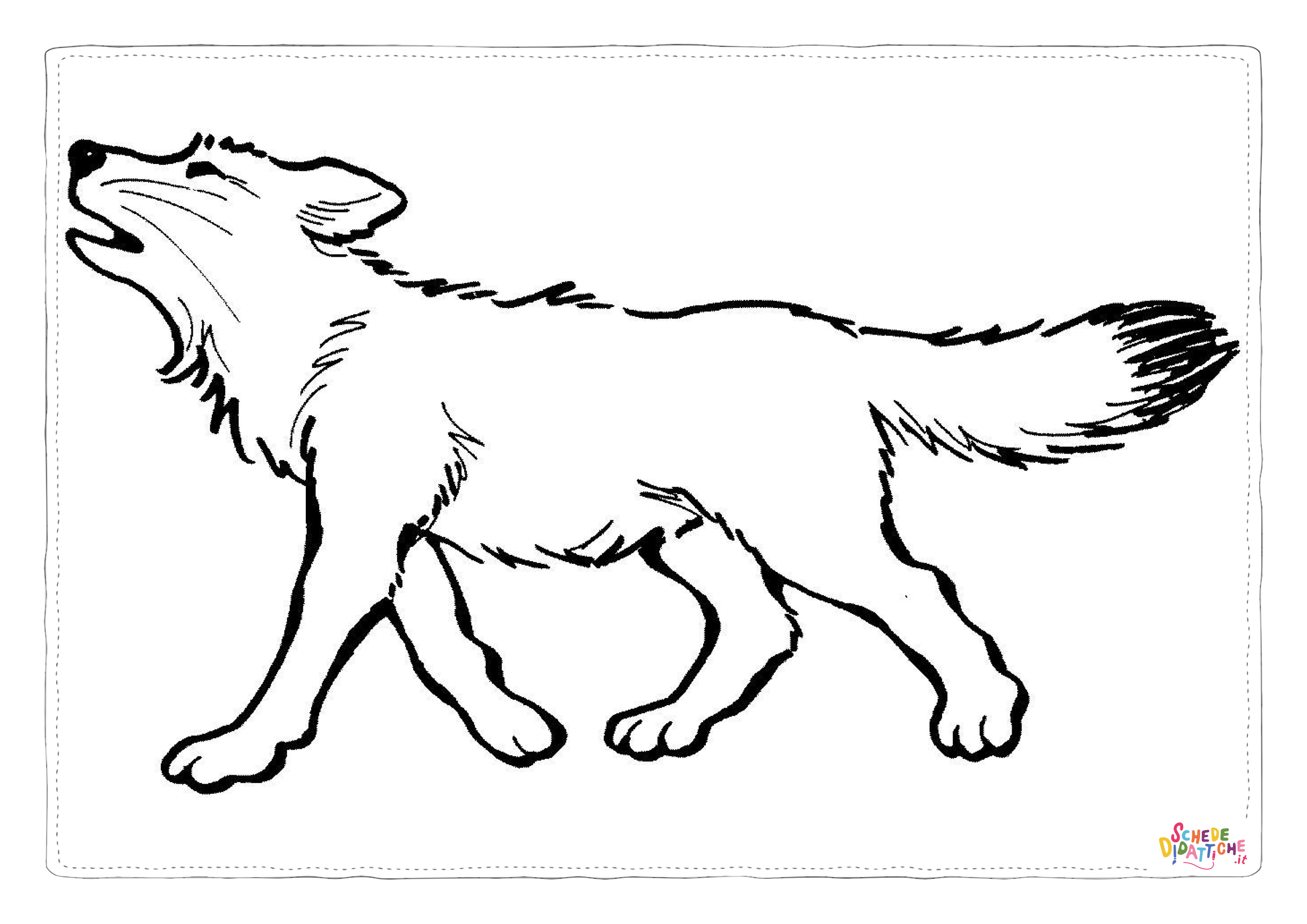 Disegno di lupo da stampare e colorare 63