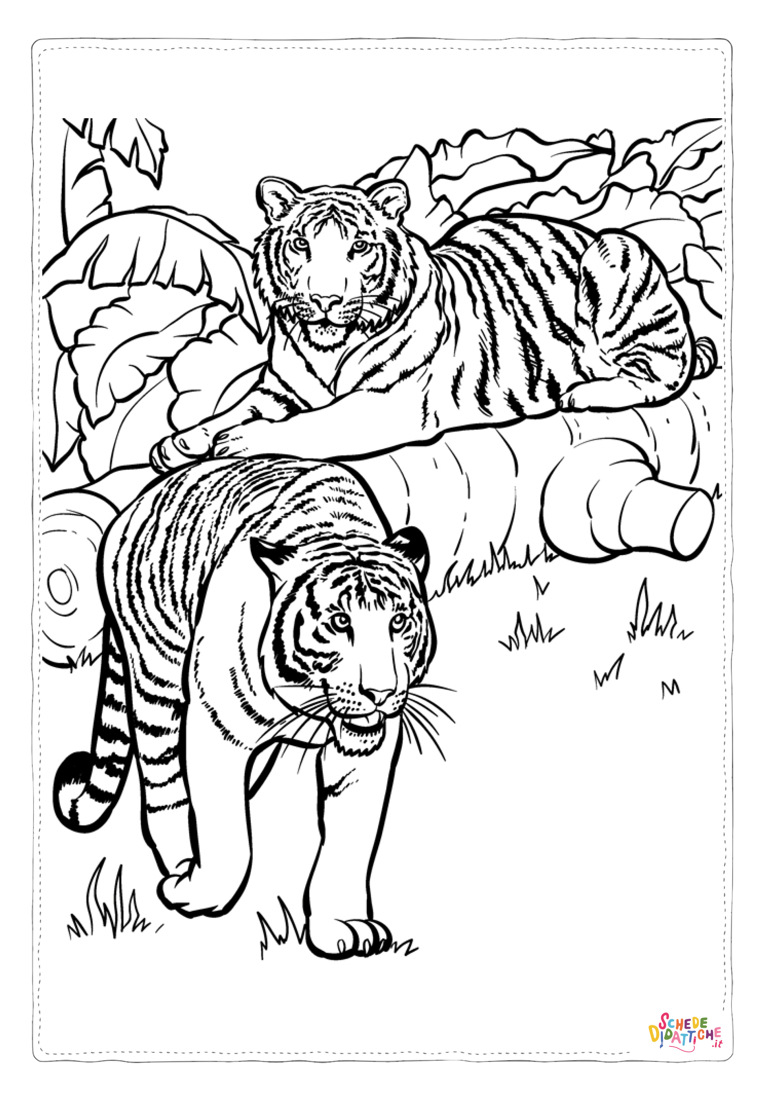 Disegno "Disegno di tigre da stampare e colorare 3" Disegno di tigre da stampare e colorare 3