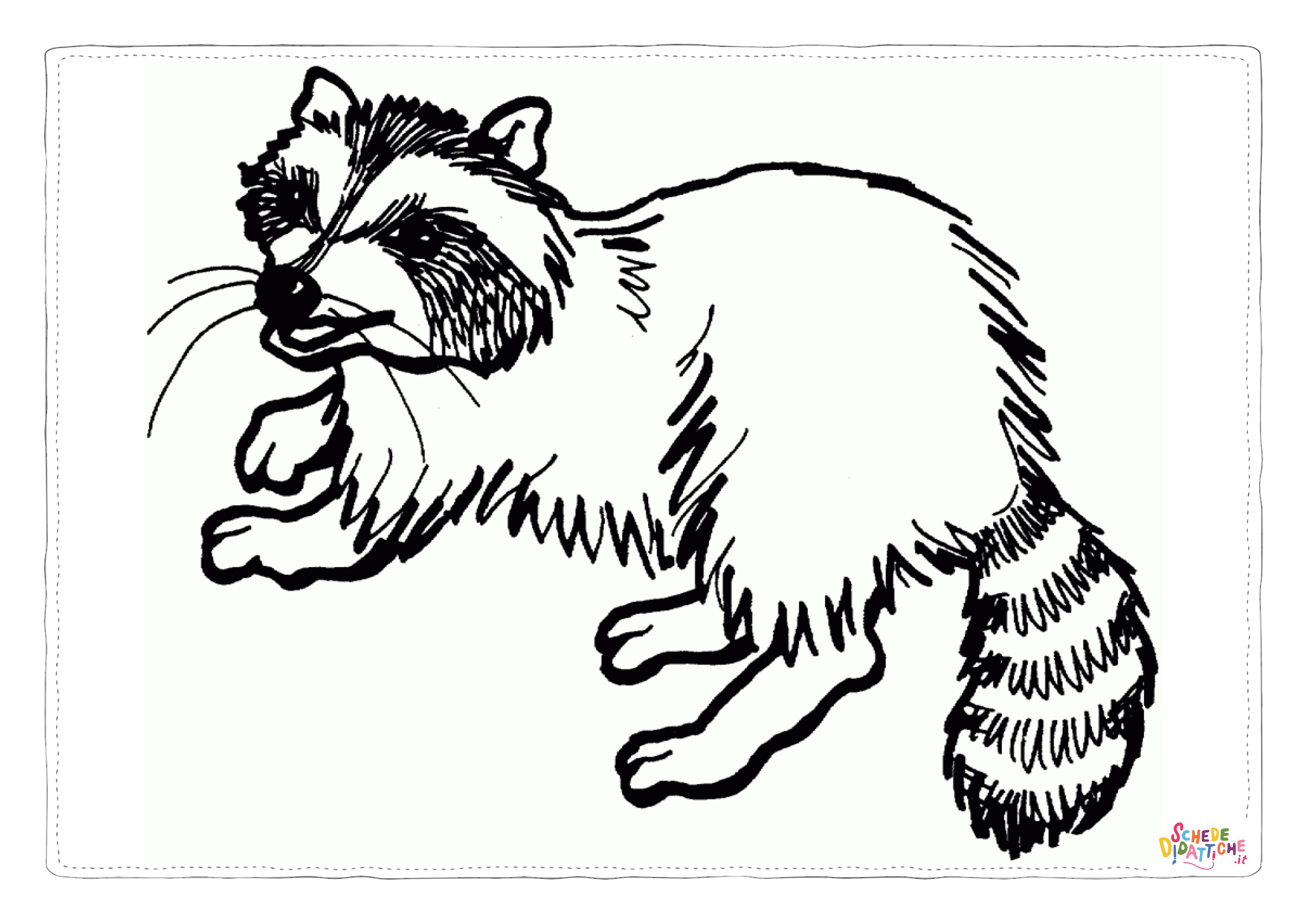 Disegno di procione da stampare e colorare 6
