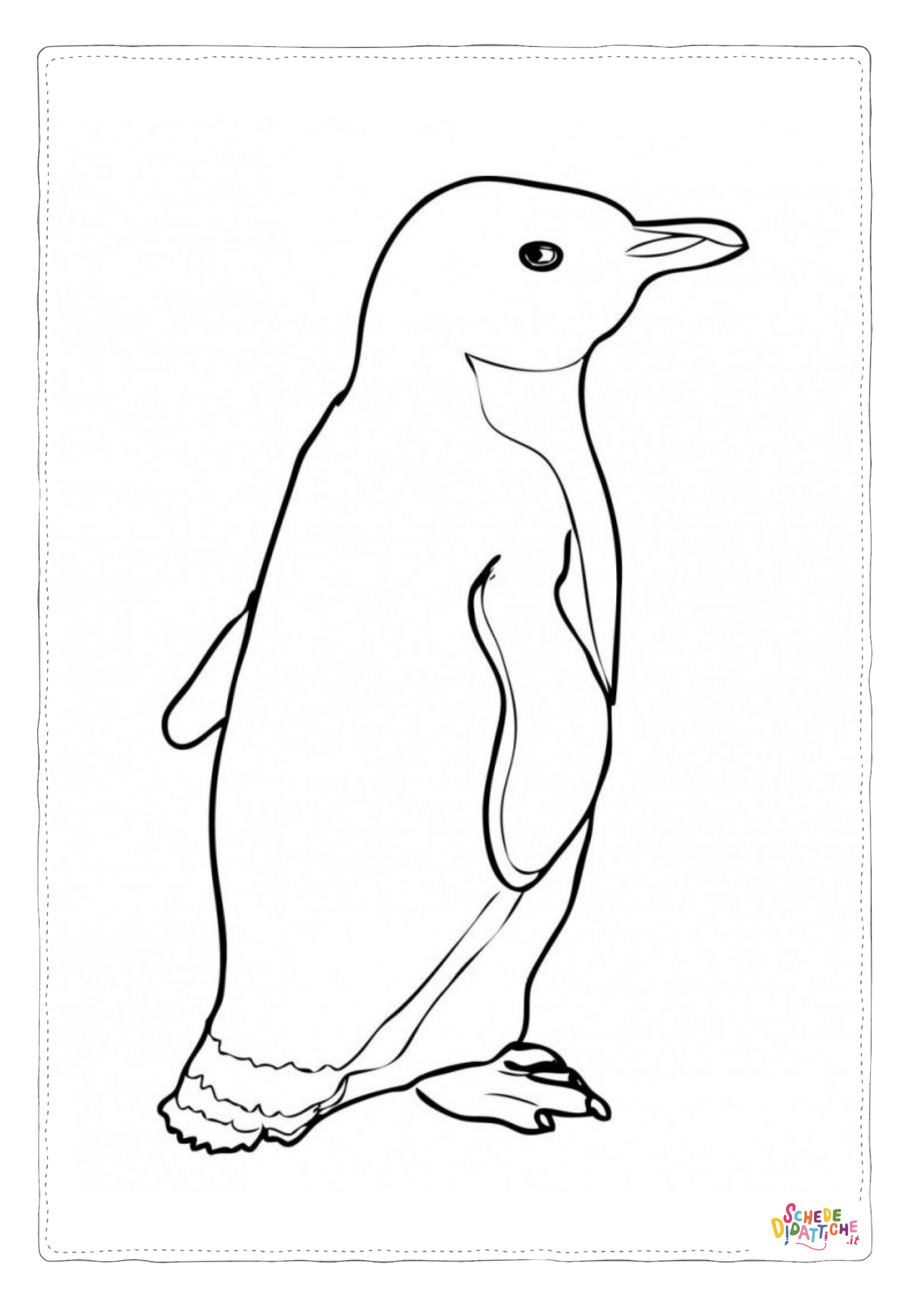 Disegno di pinguino da stampare e colorare 6