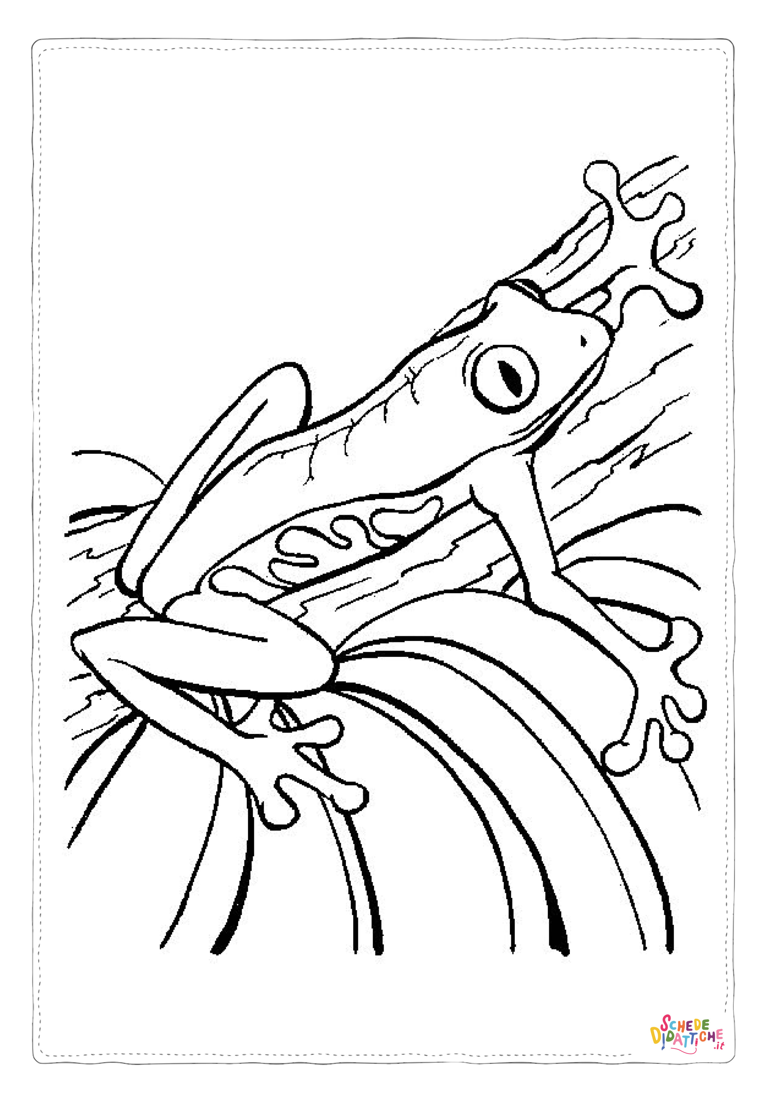 Disegno "Disegno di rana da stampare e colorare 64" Disegno di rana da stampare e colorare 64
