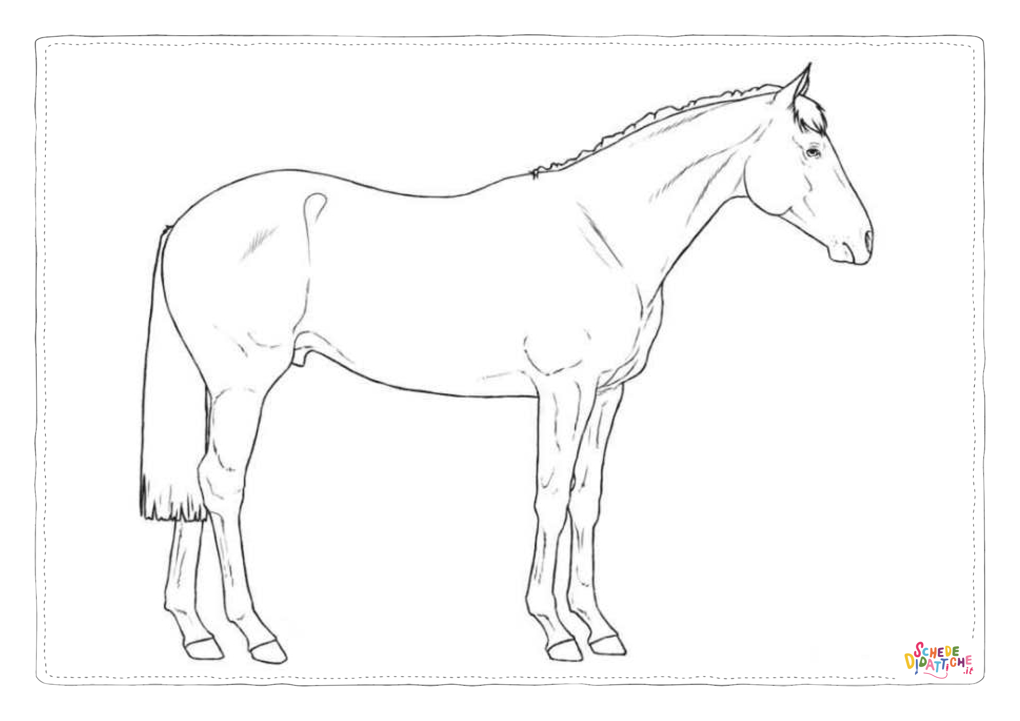 Disegno "Disegno di cavallo da stampare e colorare 65" Disegno di cavallo da stampare e colorare 65