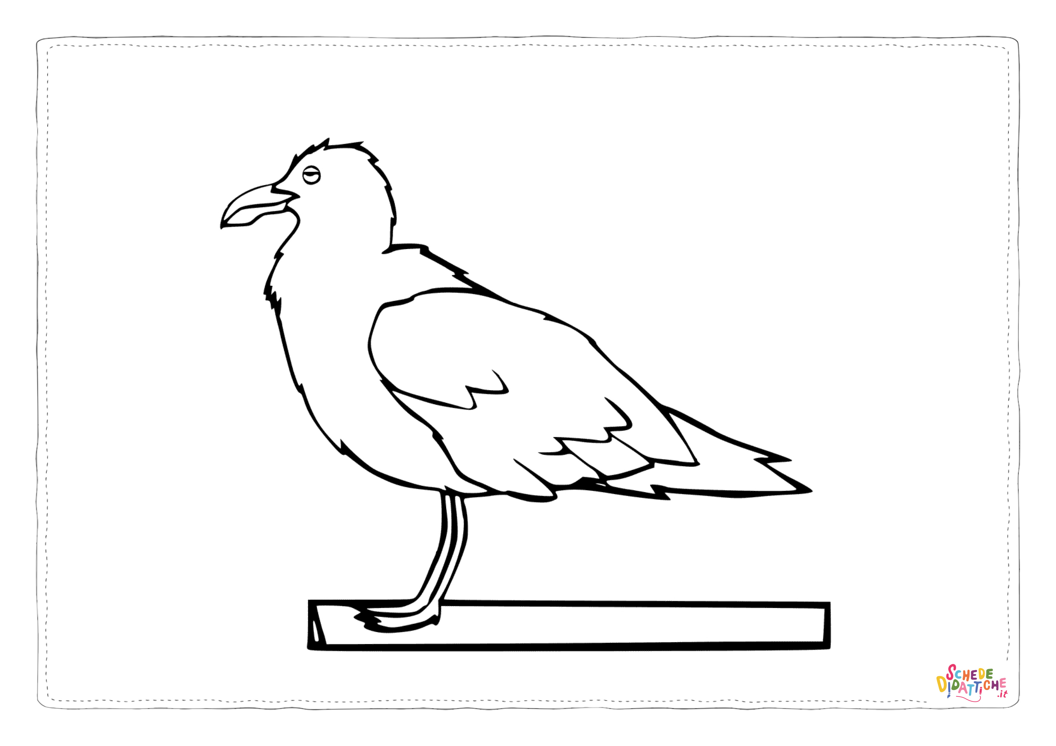 Disegno di gabbiano da stampare e colorare