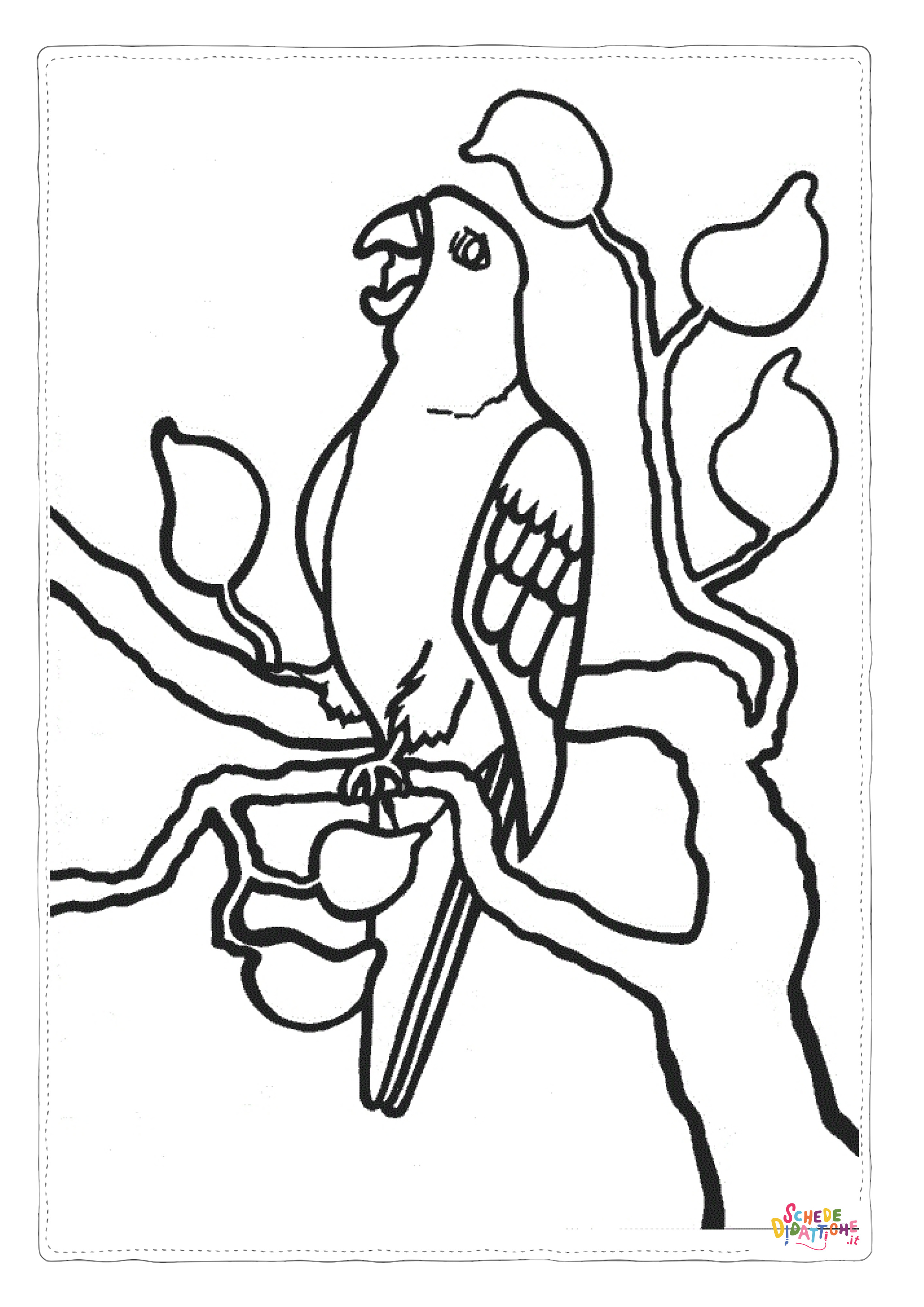 Disegno "Disegno di pappagallo da stampare e colorare 44" Disegno di pappagallo da stampare e colorare 44