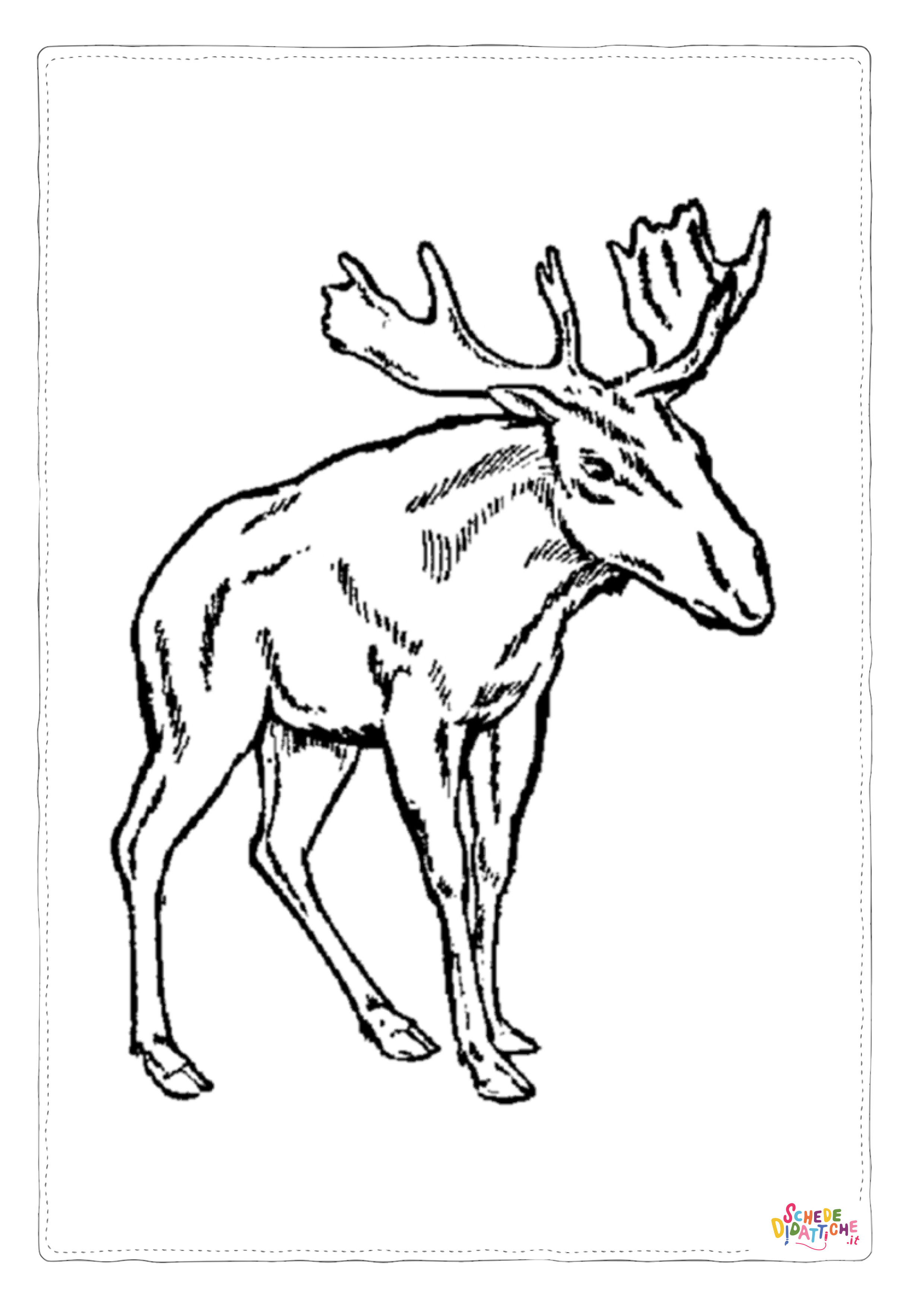 Disegno "Disegno di alce da stampare e colorare 6" Disegno di alce da stampare e colorare 6
