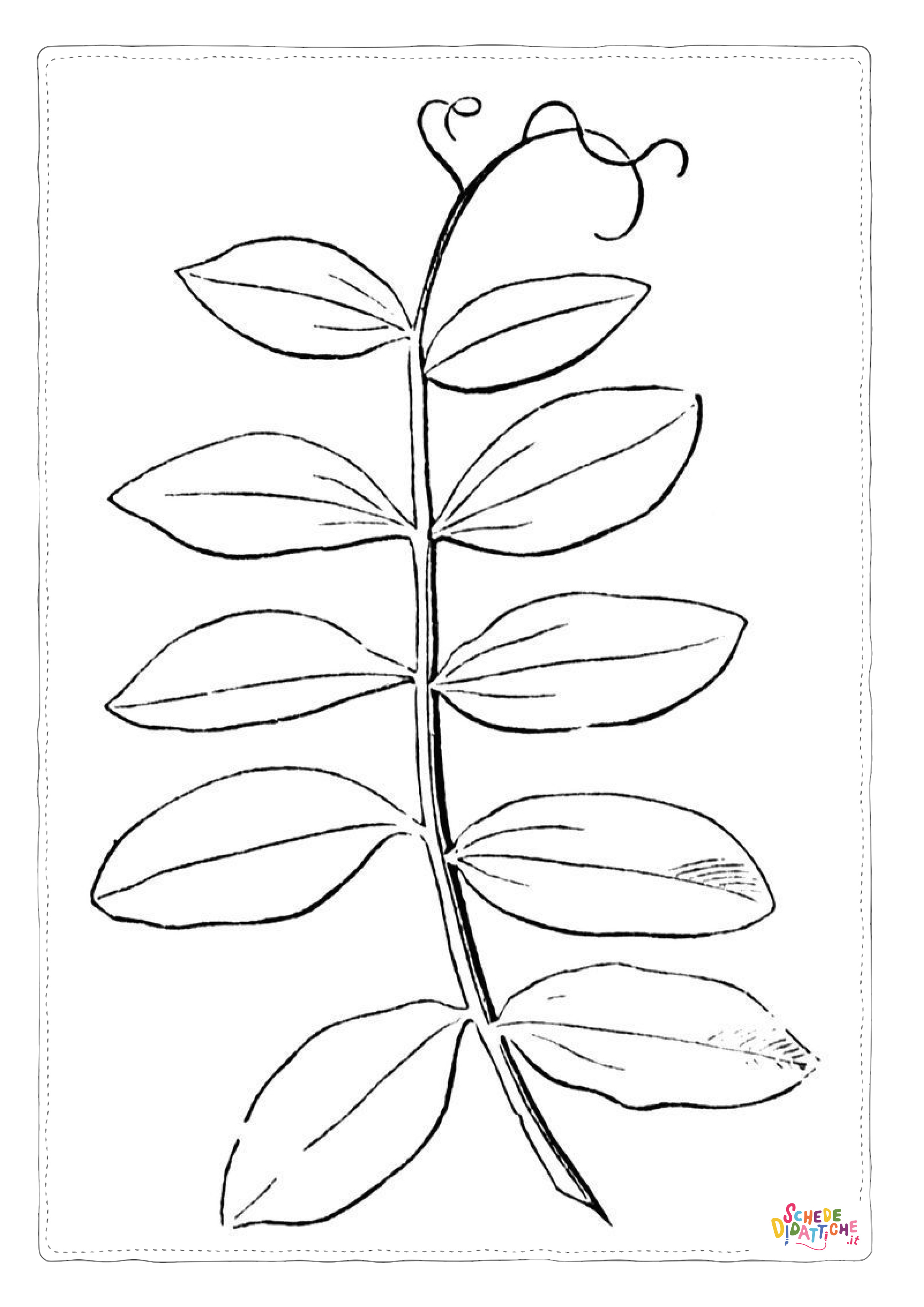 Disegno "Disegno di foglia da stampare e colorare 28" Disegno di foglia da stampare e colorare 28