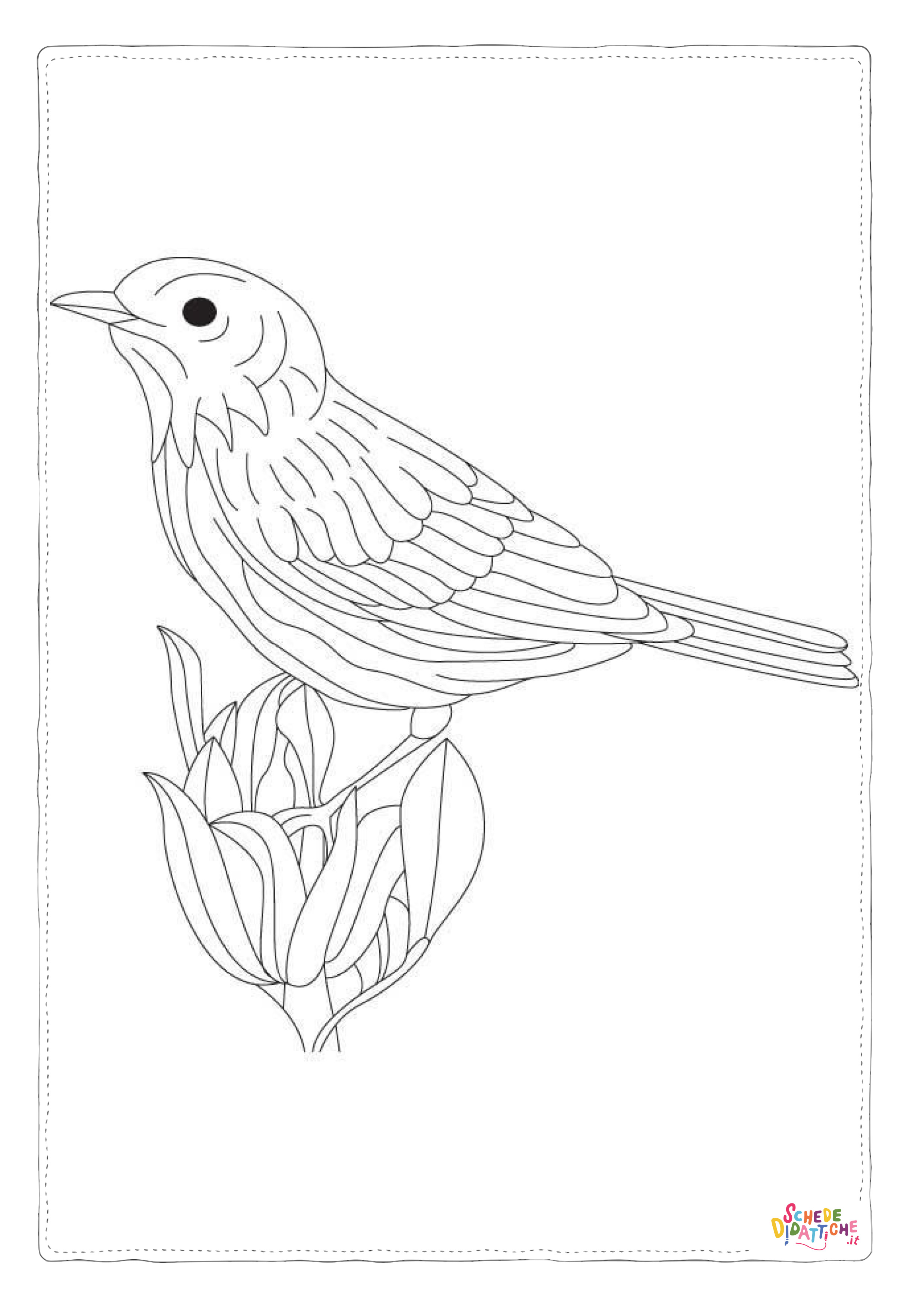 Disegno "Disegno di passero da stampare e colorare 50" Disegno di passero da stampare e colorare 50
