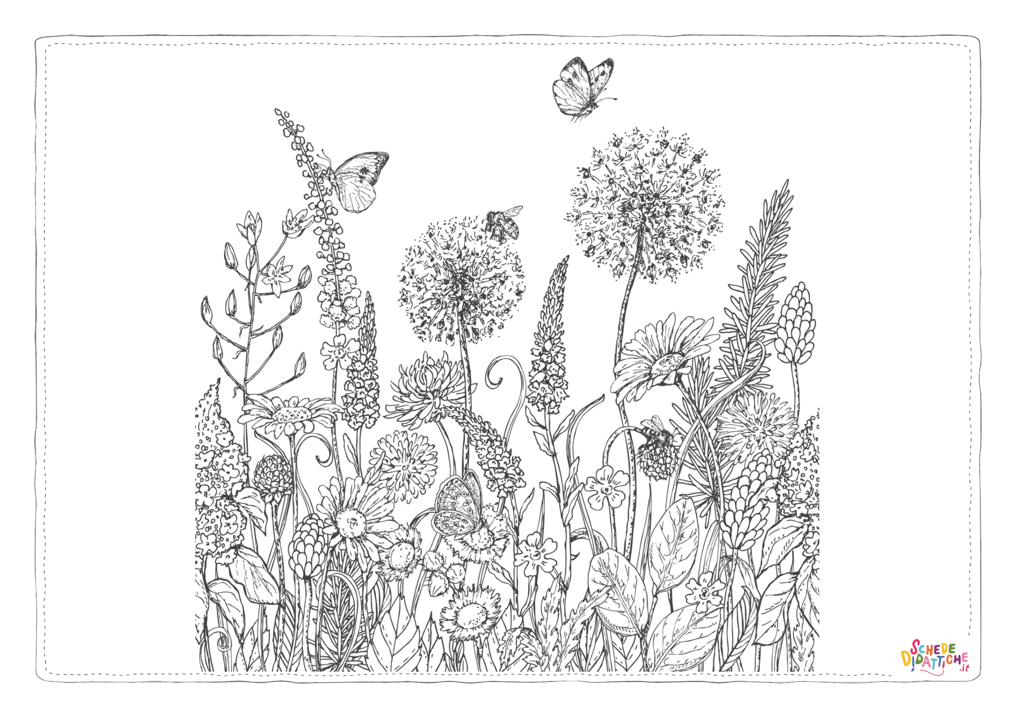 Disegno "Disegno di mandala da stampare e colorare 980" Disegno di mandala da stampare e colorare 980