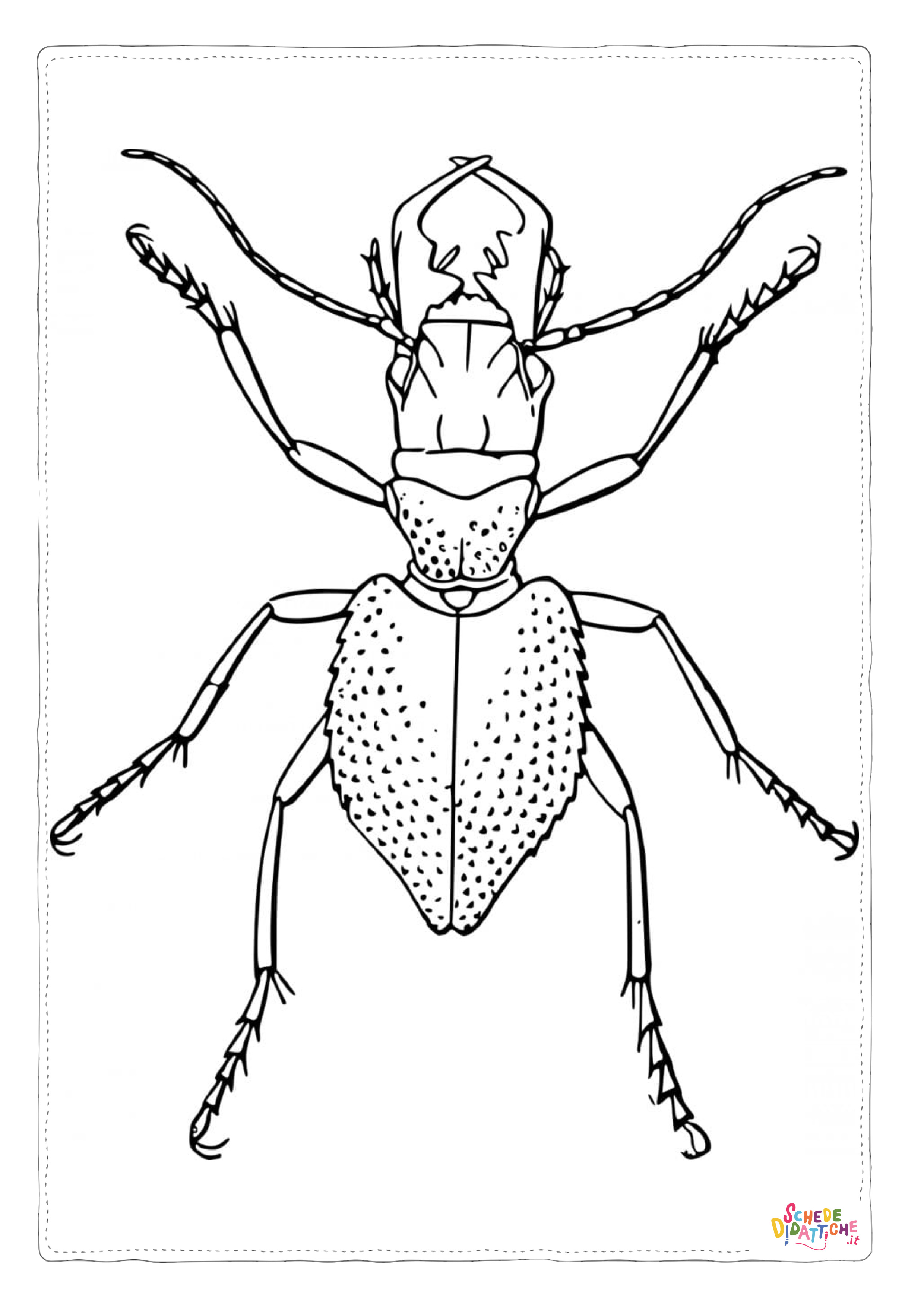 Disegno di coleottero da stampare e colorare 11