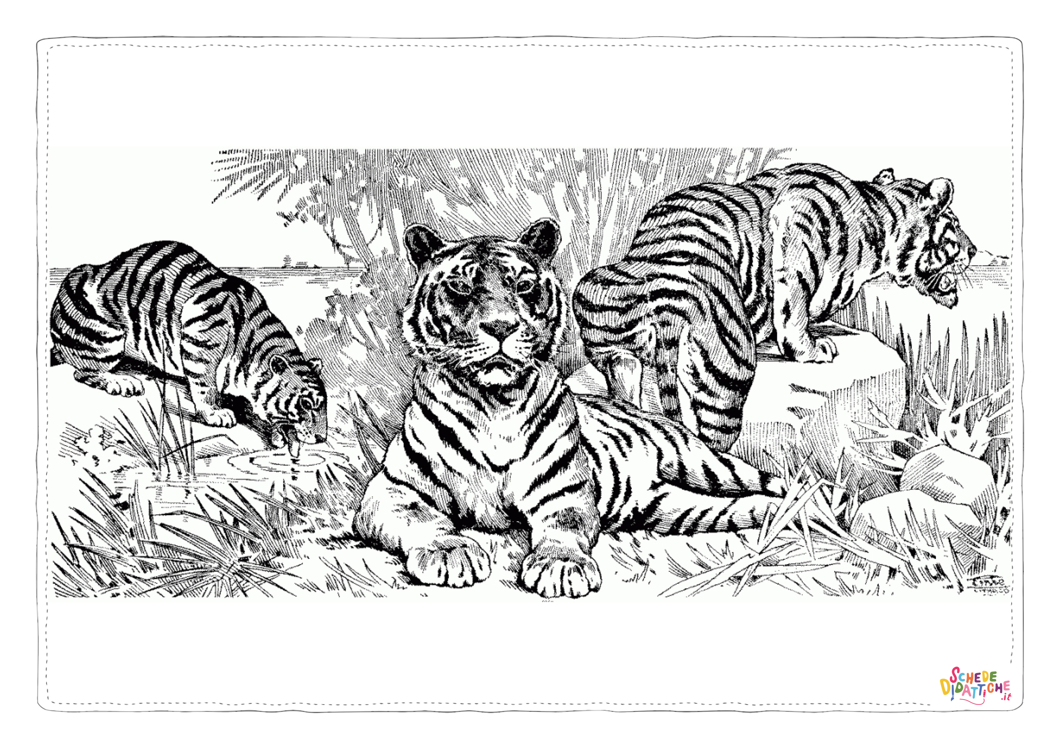 Disegno di tigre da stampare e colorare 17
