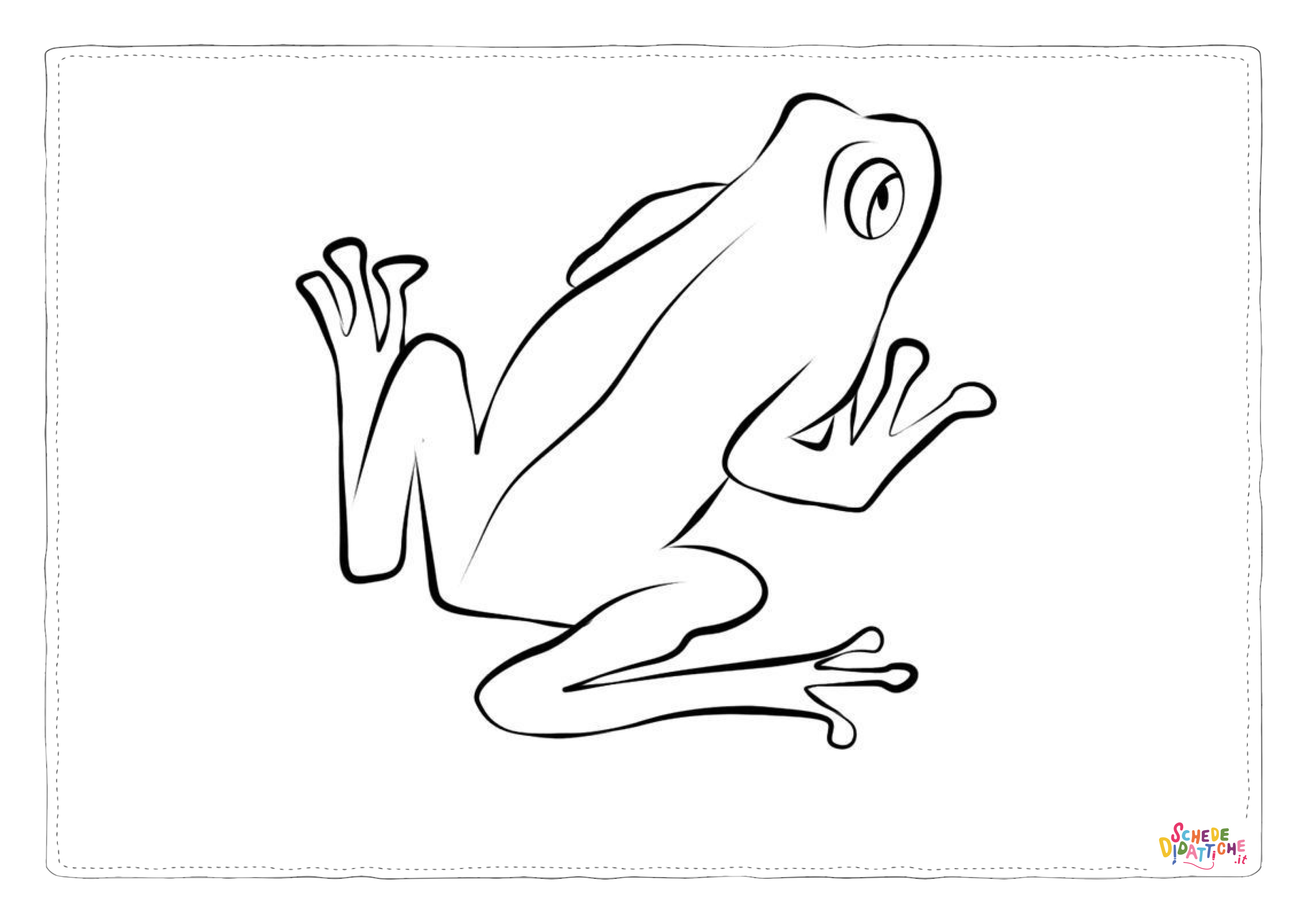 Disegno di rana da stampare e colorare 100