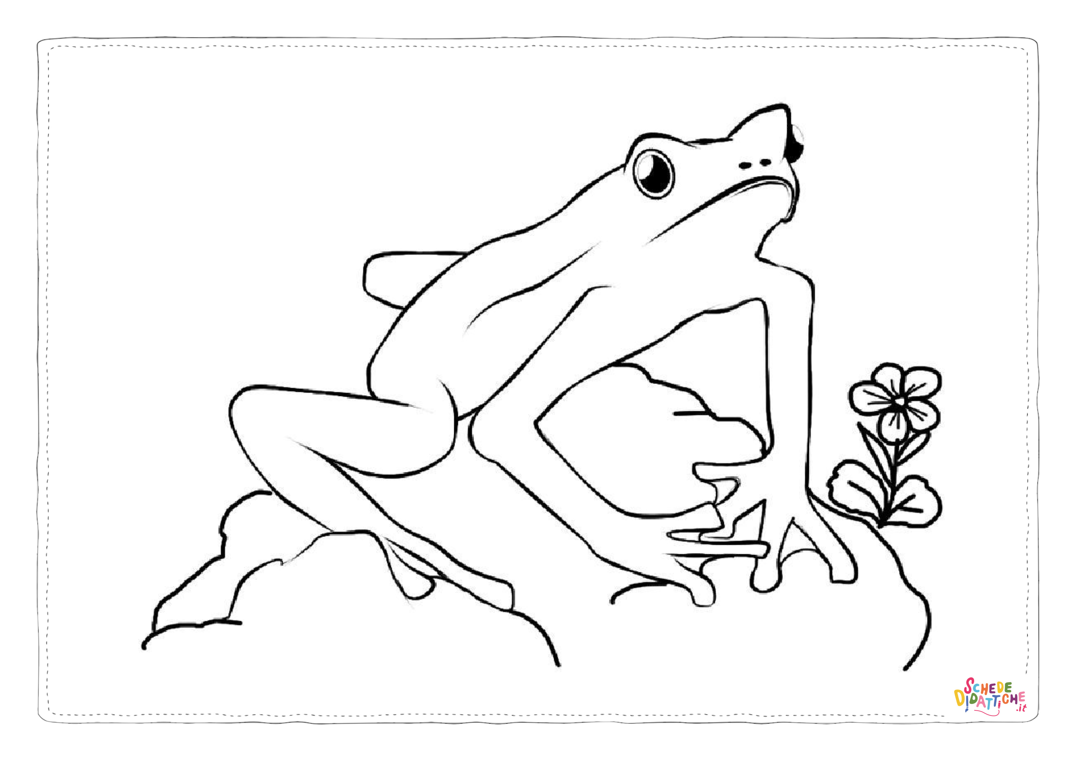 Disegno di rana da stampare e colorare 116