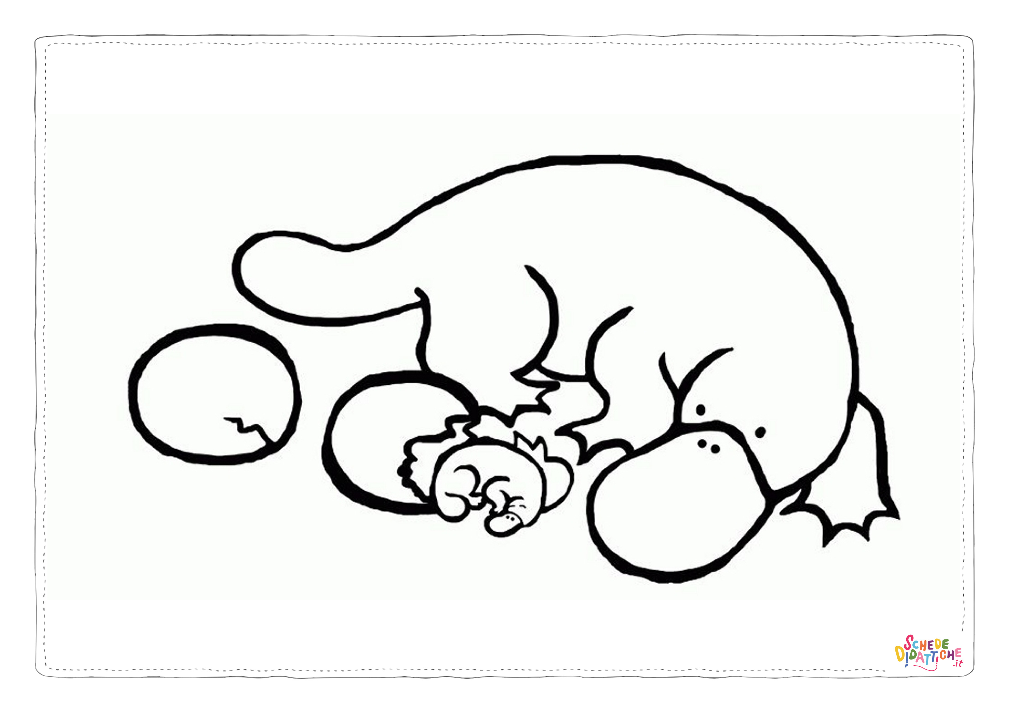 Disegno "Disegno di ornitorinco da stampare e colorare 2" Disegno di ornitorinco da stampare e colorare 2