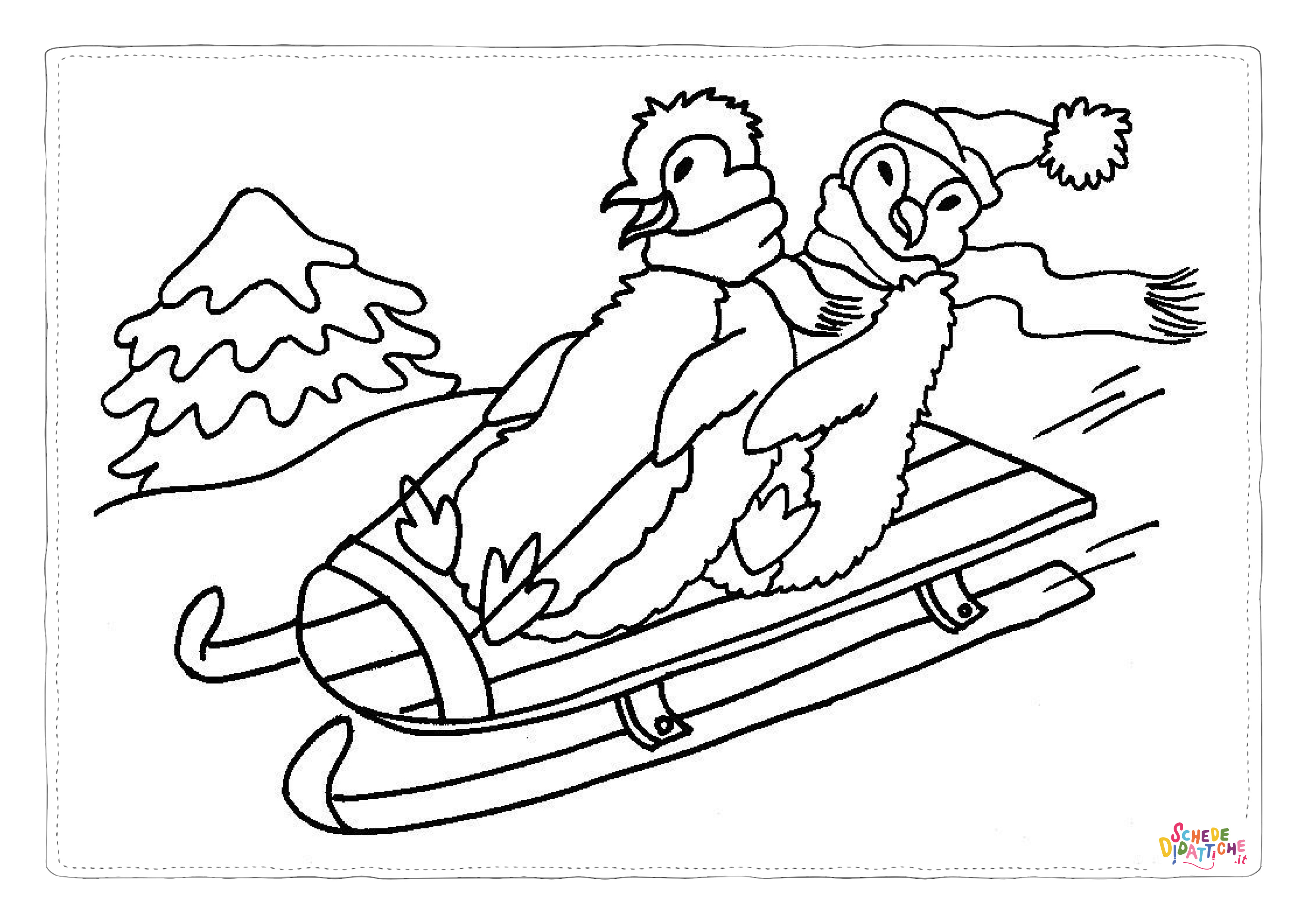 Disegno di pinguino da stampare e colorare 60