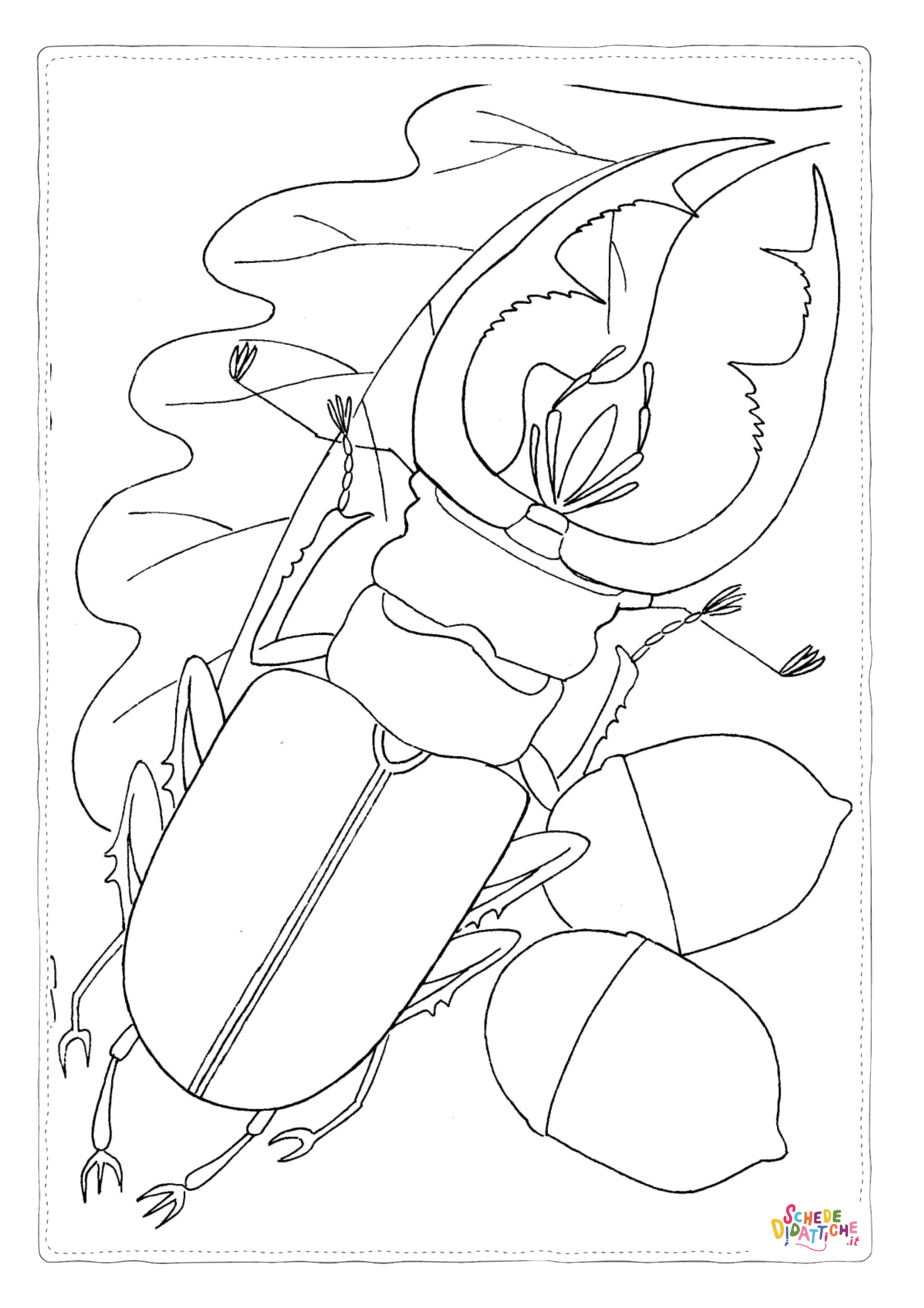Disegno di coleottero da stampare e colorare 7