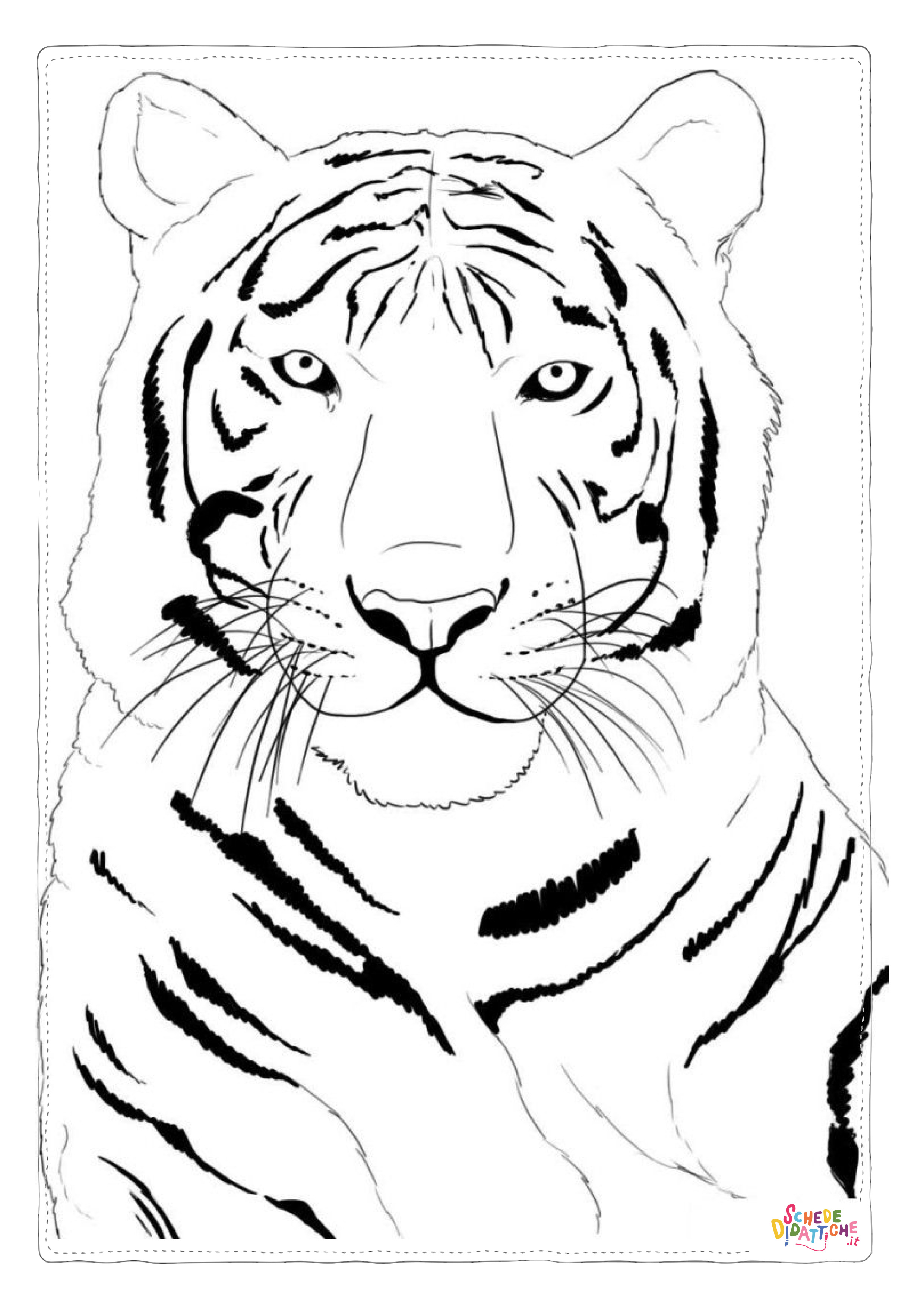 Disegno di tigre da stampare e colorare 12