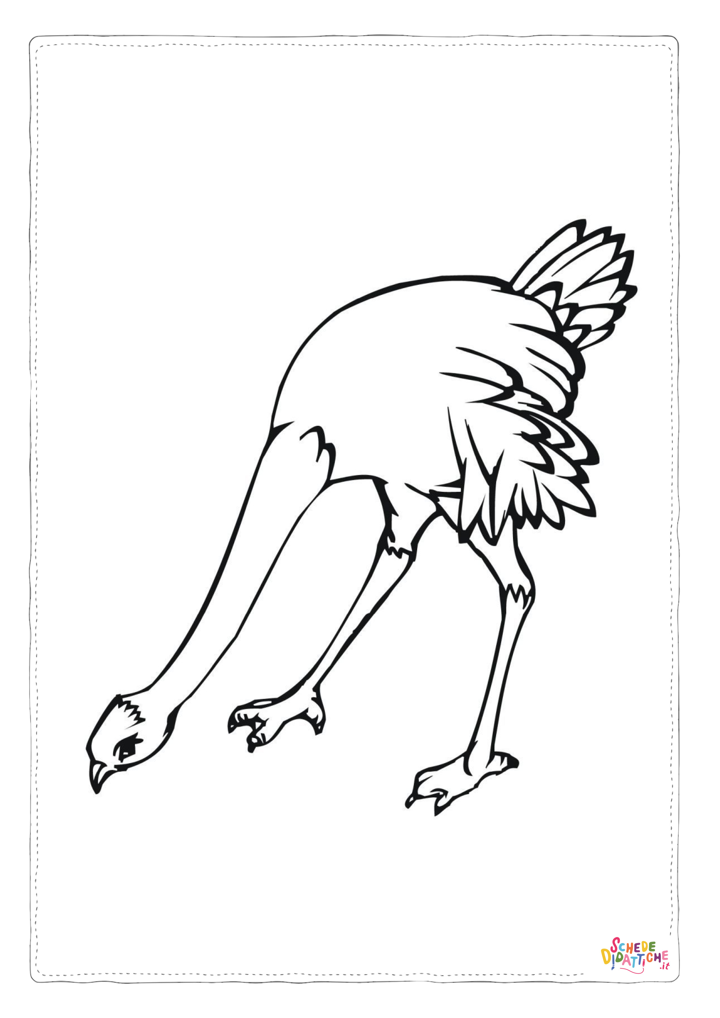 Disegno "Disegno di struzzo da stampare e colorare 15" Disegno di struzzo da stampare e colorare 15