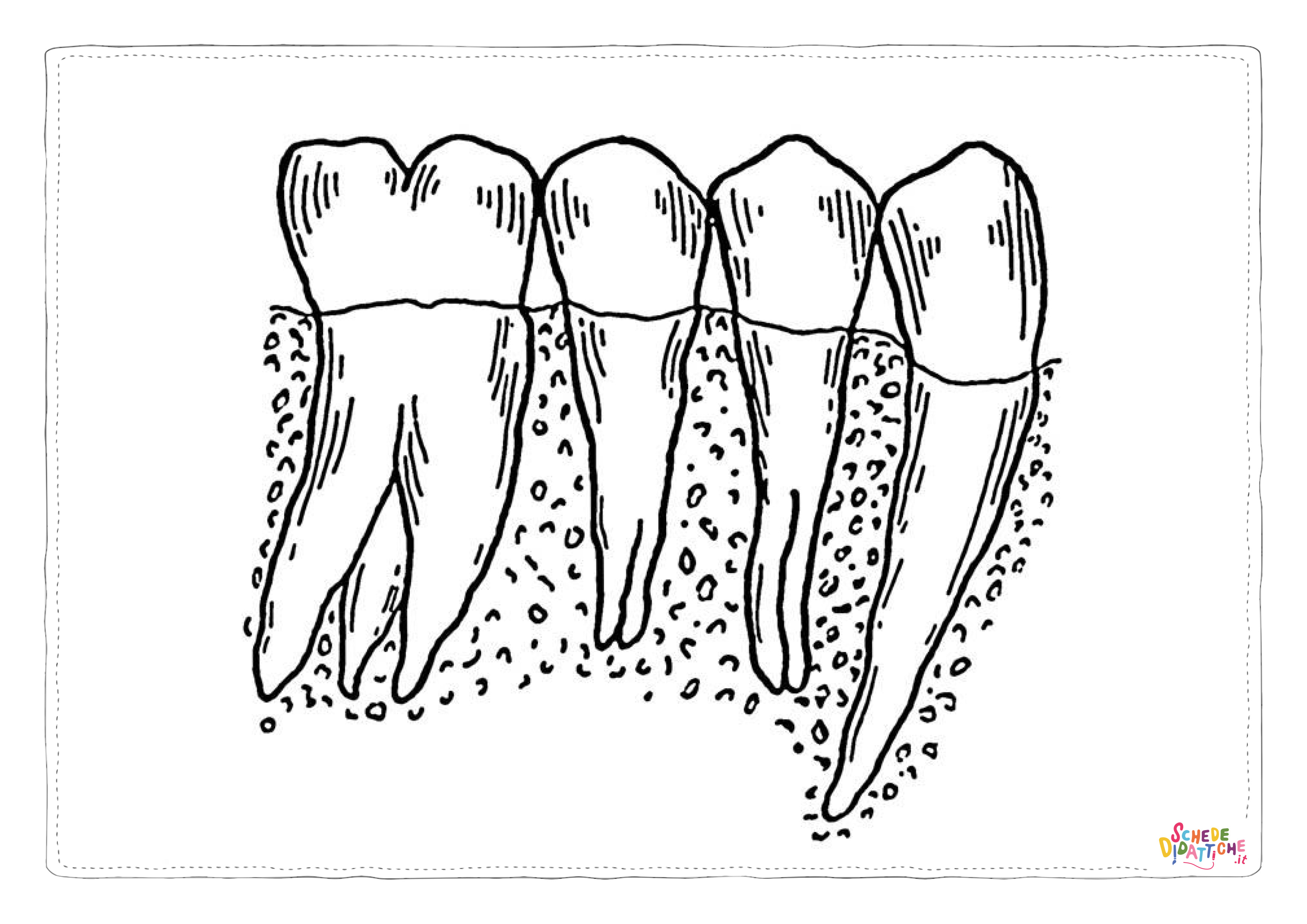 Disegno "Disegno di dentista da stampare e colorare 1" Disegno di dentista da stampare e colorare 1