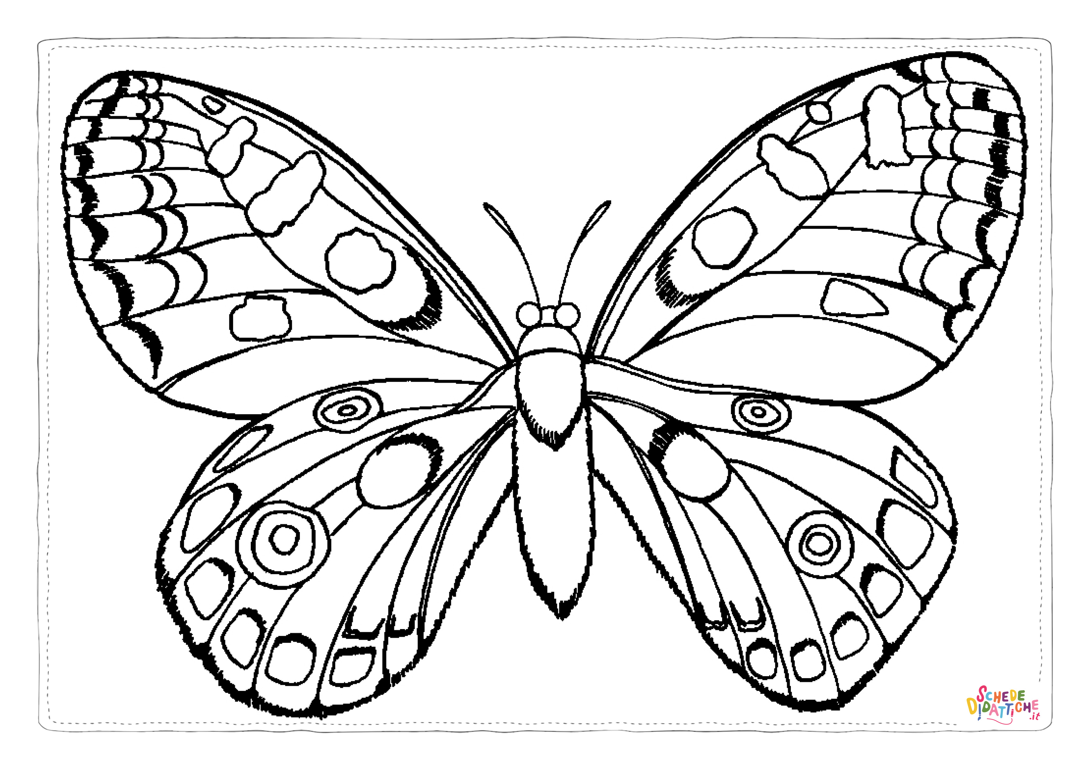 Disegno di farfalla da stampare e colorare 131