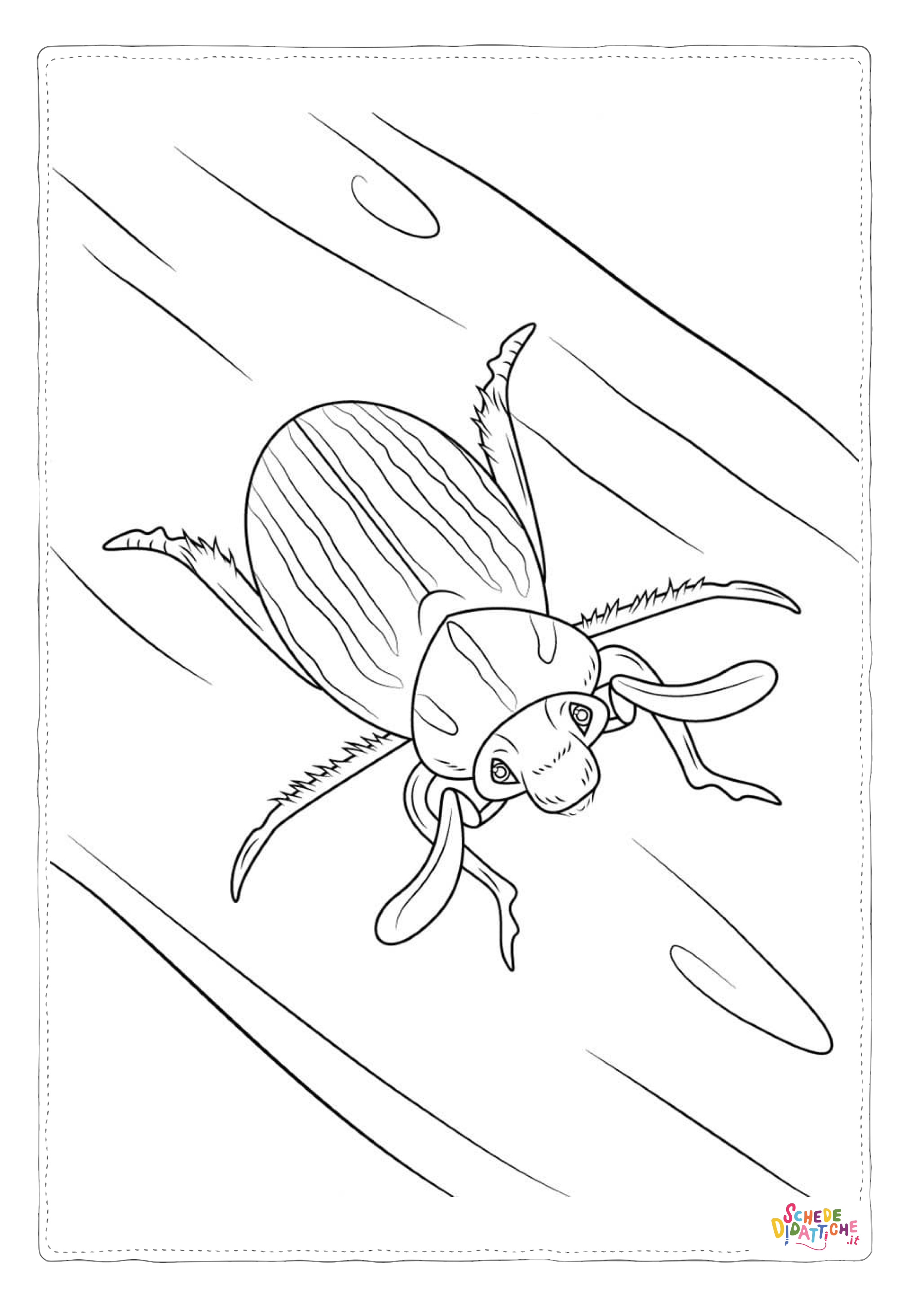 Disegno di coleottero da stampare e colorare 16