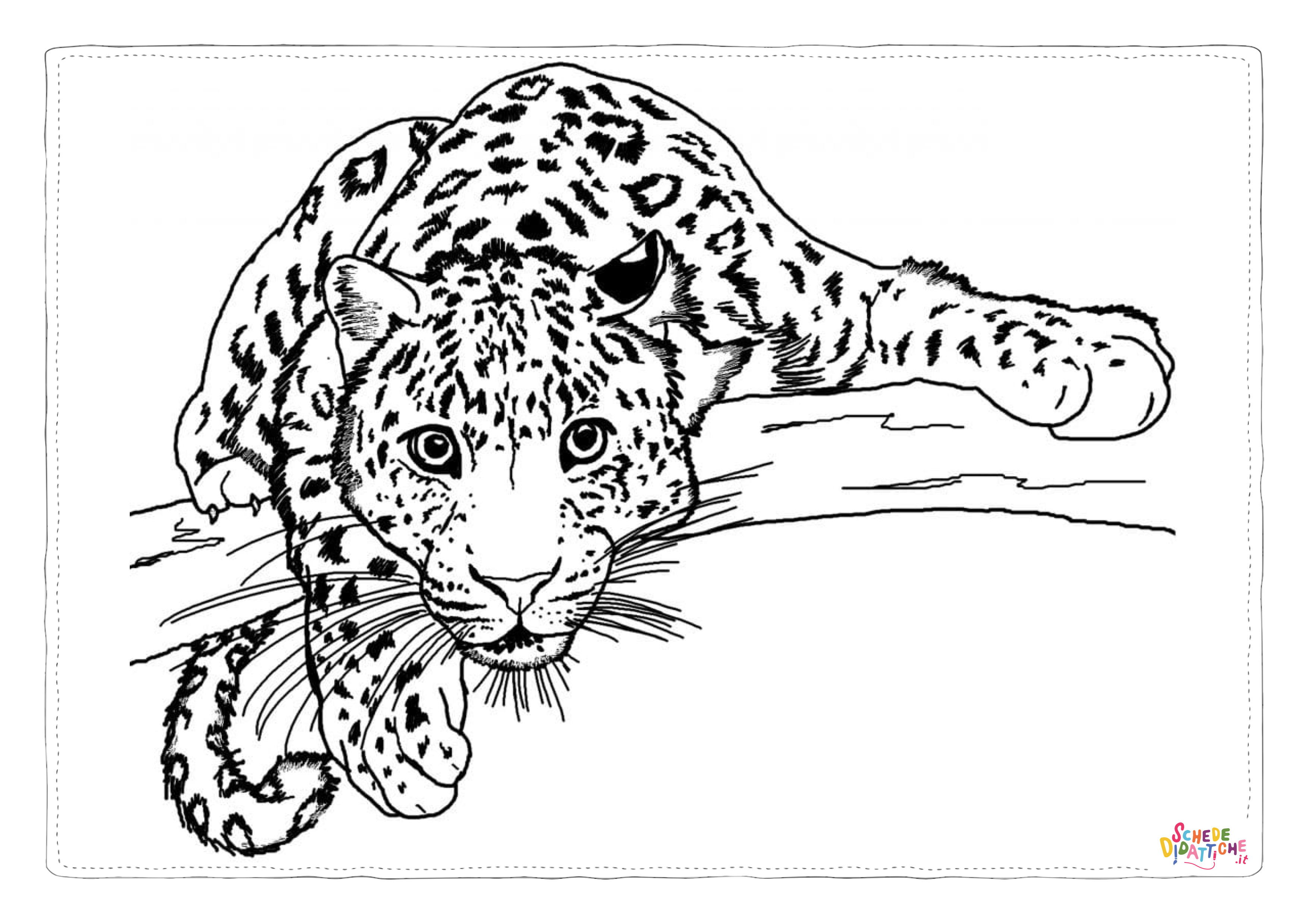 Disegno di leopardo da stampare e colorare 40