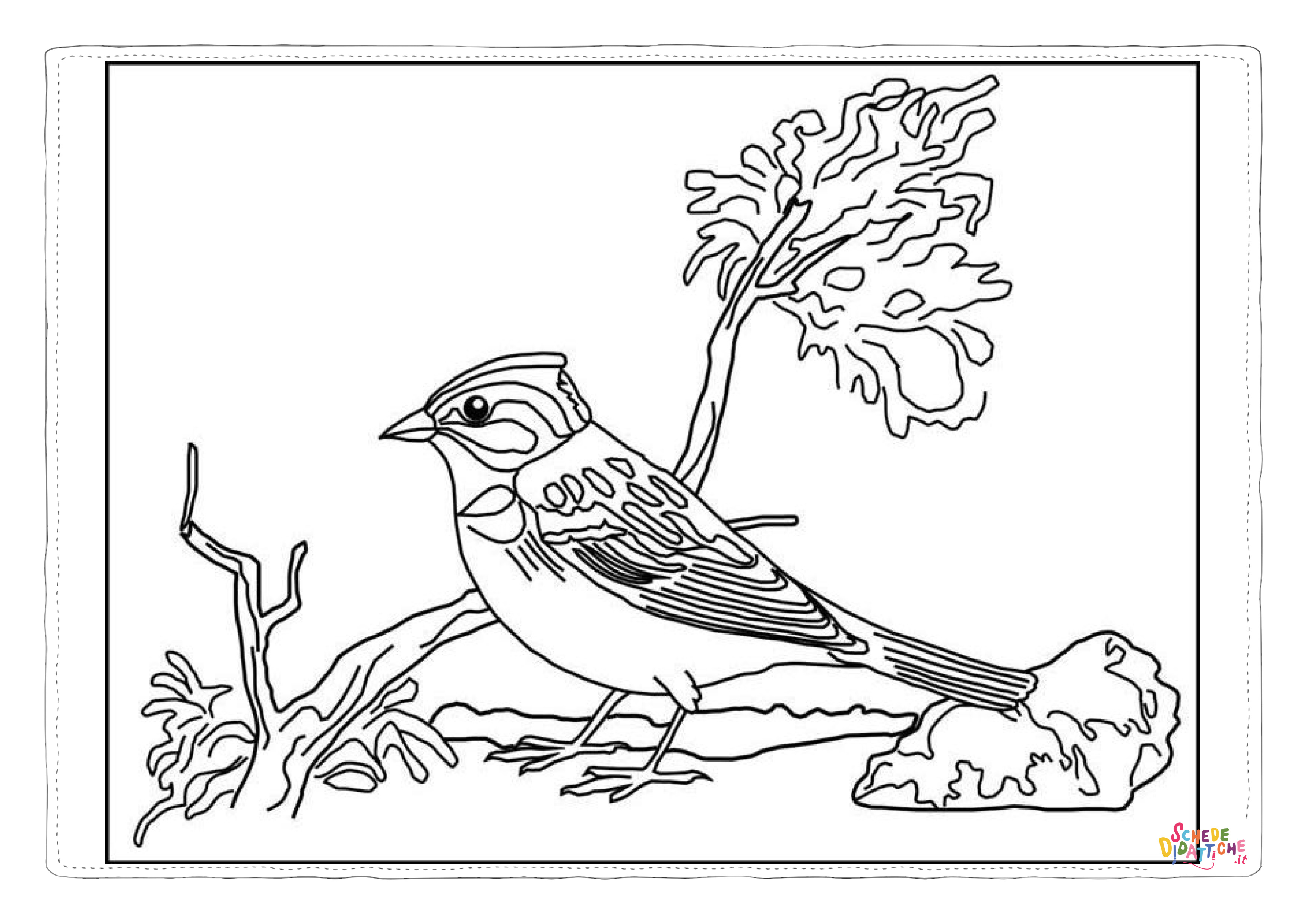 Disegno "Disegno di passero da stampare e colorare 52" Disegno di passero da stampare e colorare 52