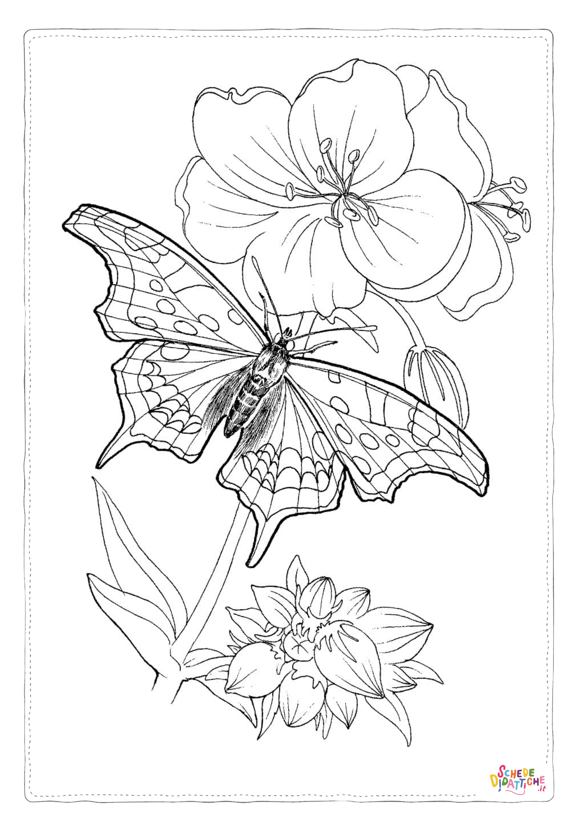 Disegno "Disegno di farfalla da stampare e colorare 325" Disegno di farfalla da stampare e colorare 325