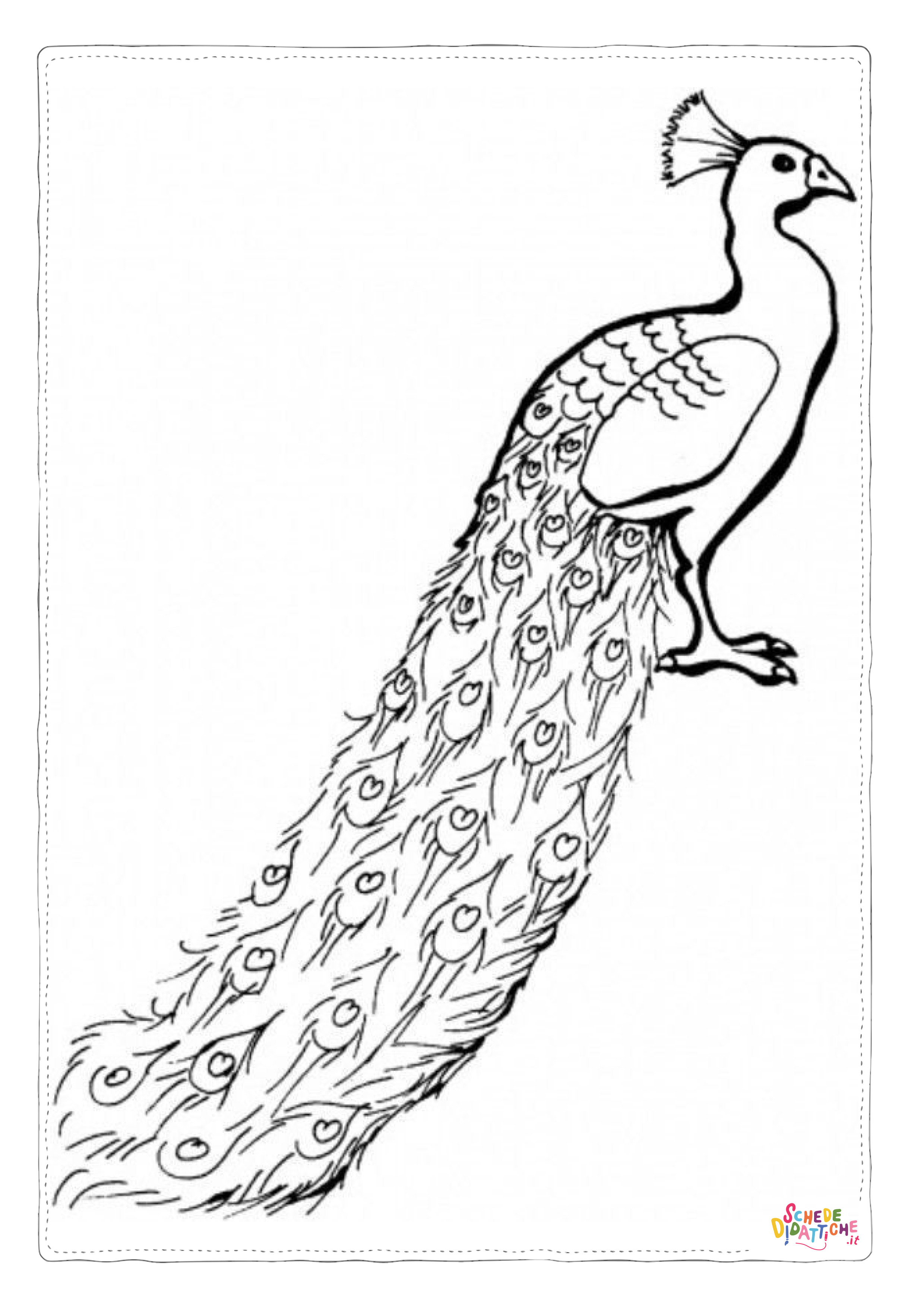 Disegno "Disegno di pavone da stampare e colorare 32" Disegno di pavone da stampare e colorare 32