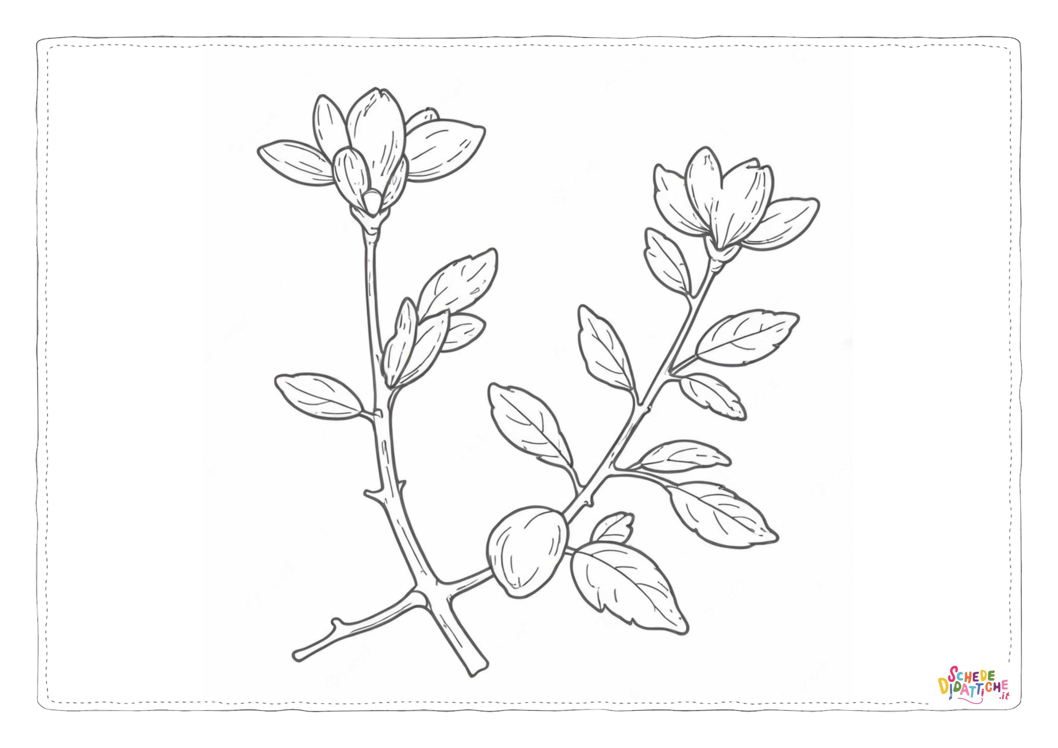 Disegno "Ramo fiorito 3" Ramo fiorito 3
