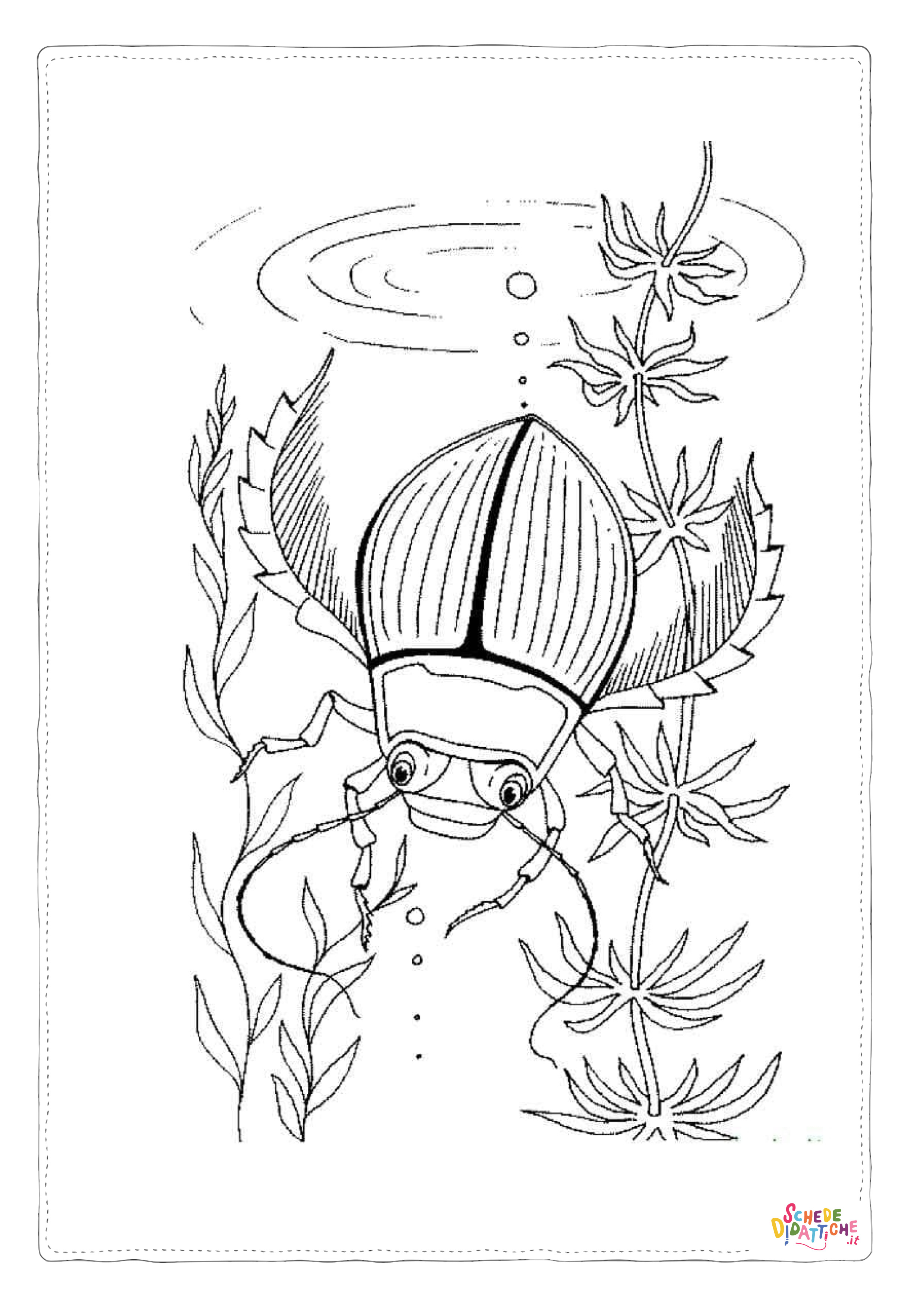 Disegno di coleottero da stampare e colorare 22