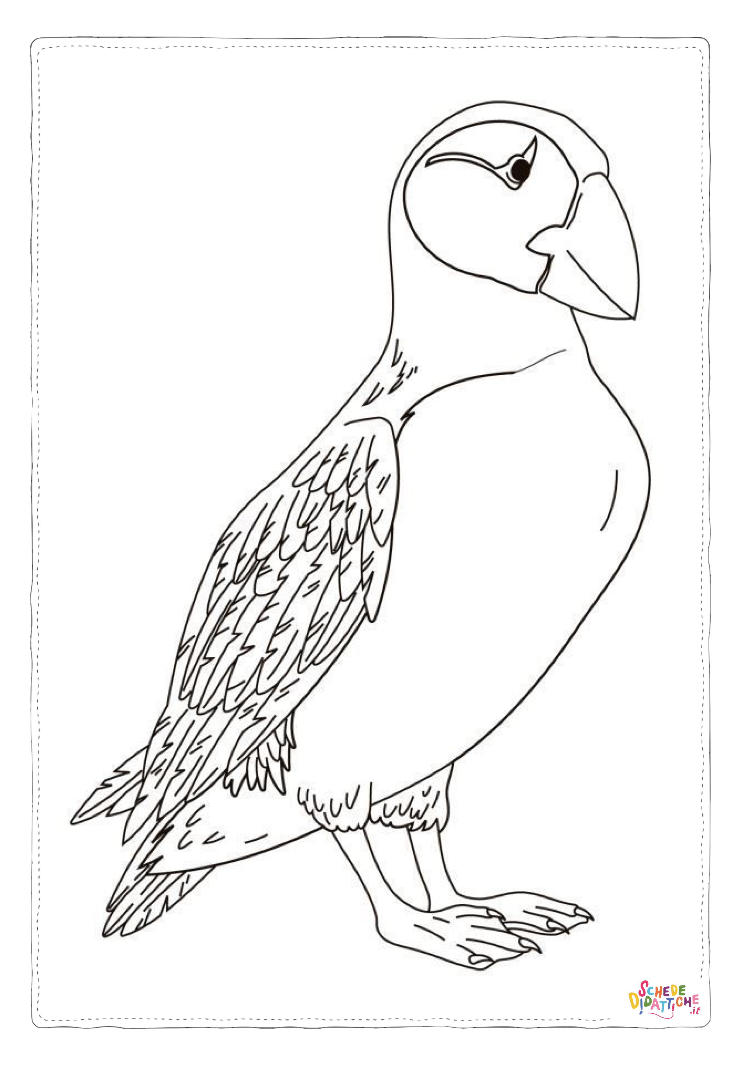 Disegno "Disegno di tucano da stampare e colorare 15" Disegno di tucano da stampare e colorare 15