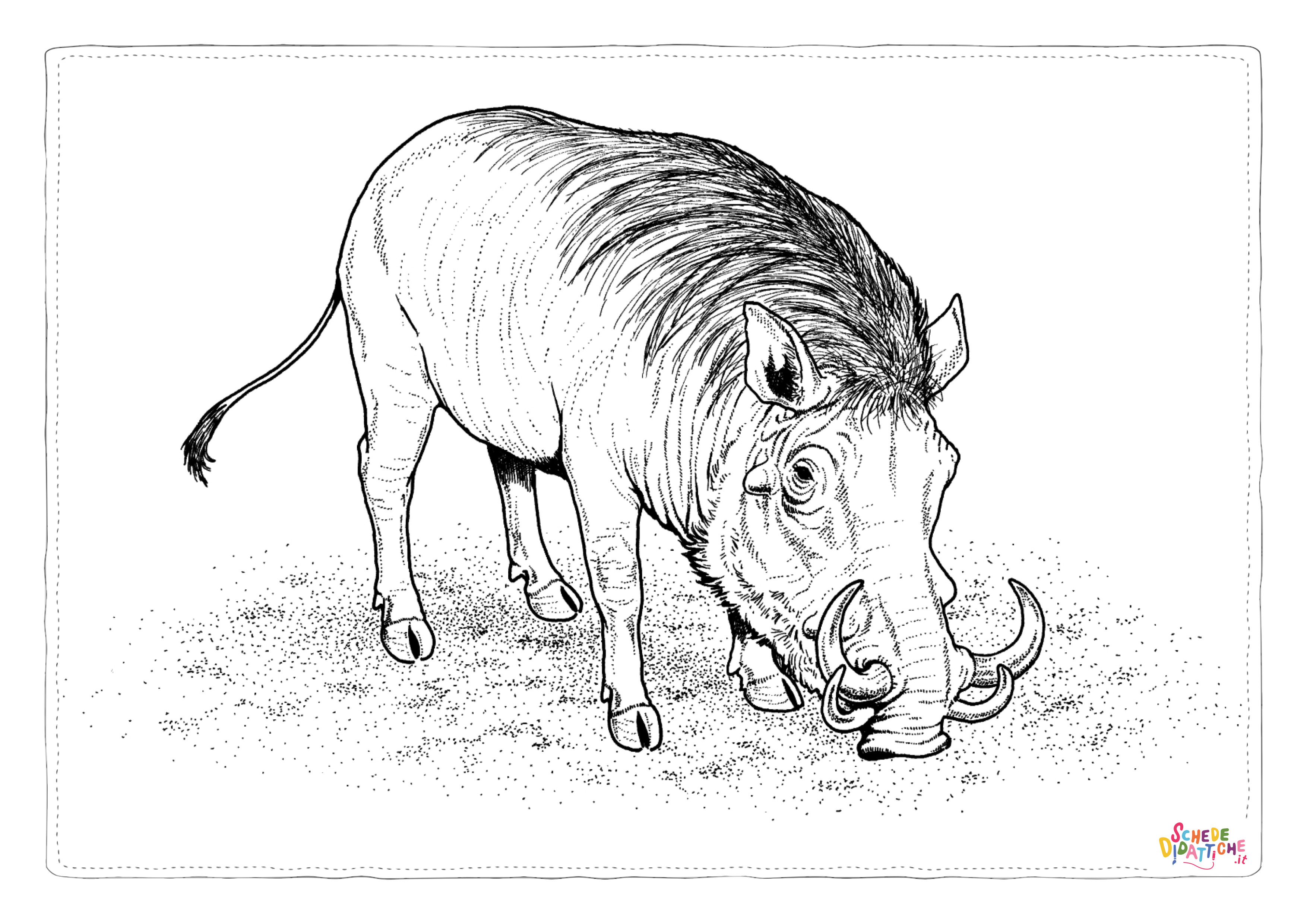 Disegno "Disegno di maiale da stampare e colorare 10" Disegno di maiale da stampare e colorare 10