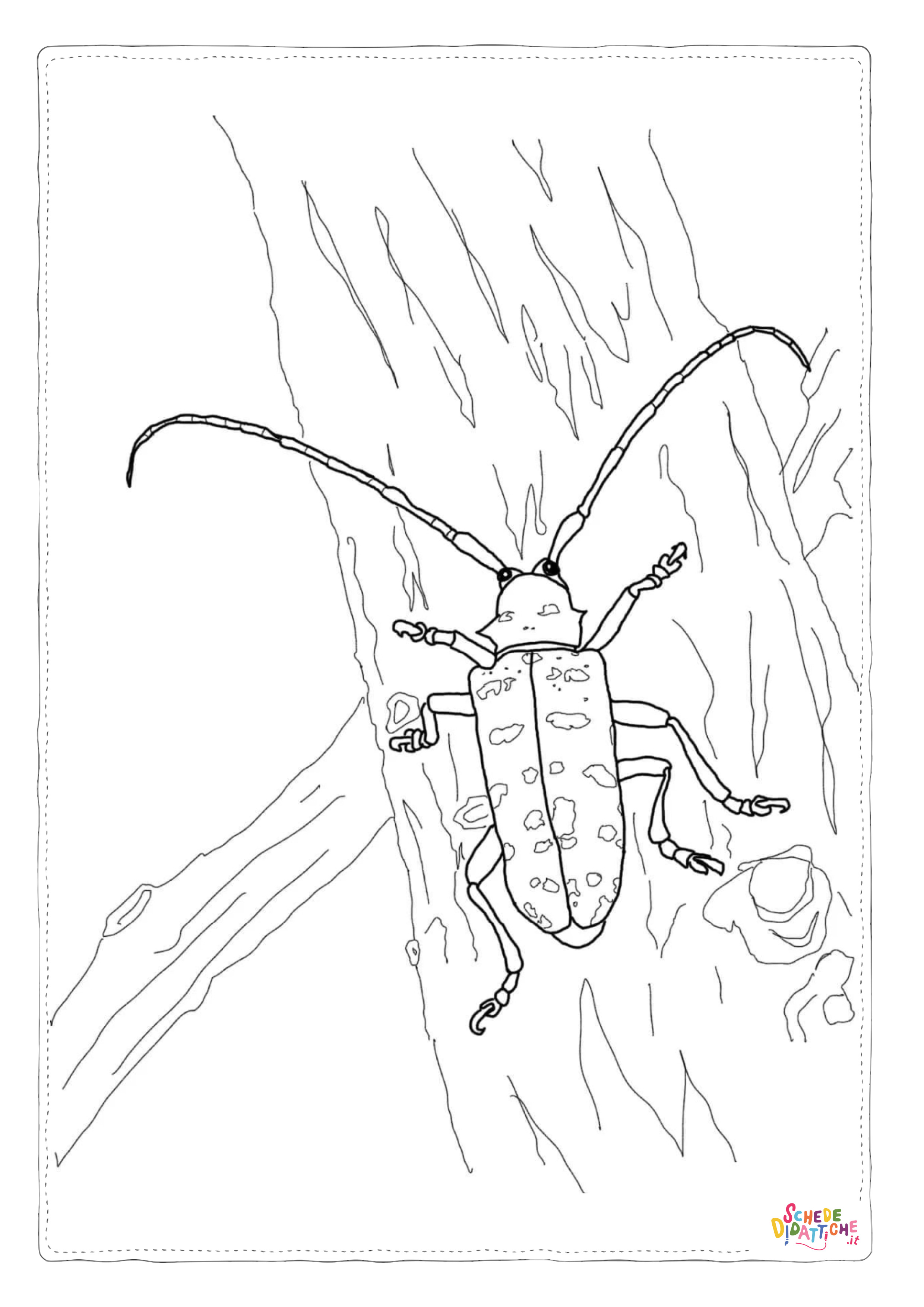 Disegno "Disegno di coleottero da stampare e colorare 19" Disegno di coleottero da stampare e colorare 19
