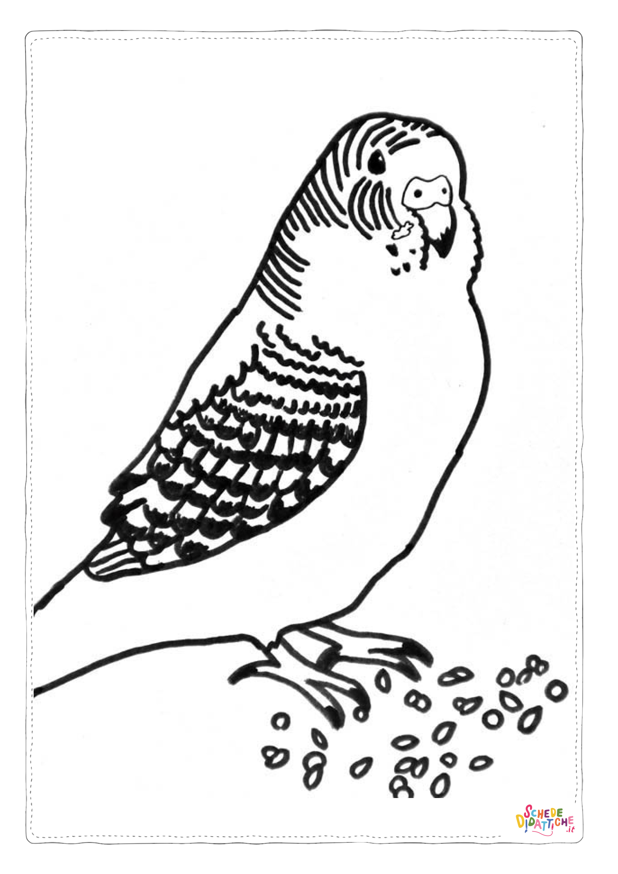 Disegno "Disegno di pappagallo da stampare e colorare 37" Disegno di pappagallo da stampare e colorare 37