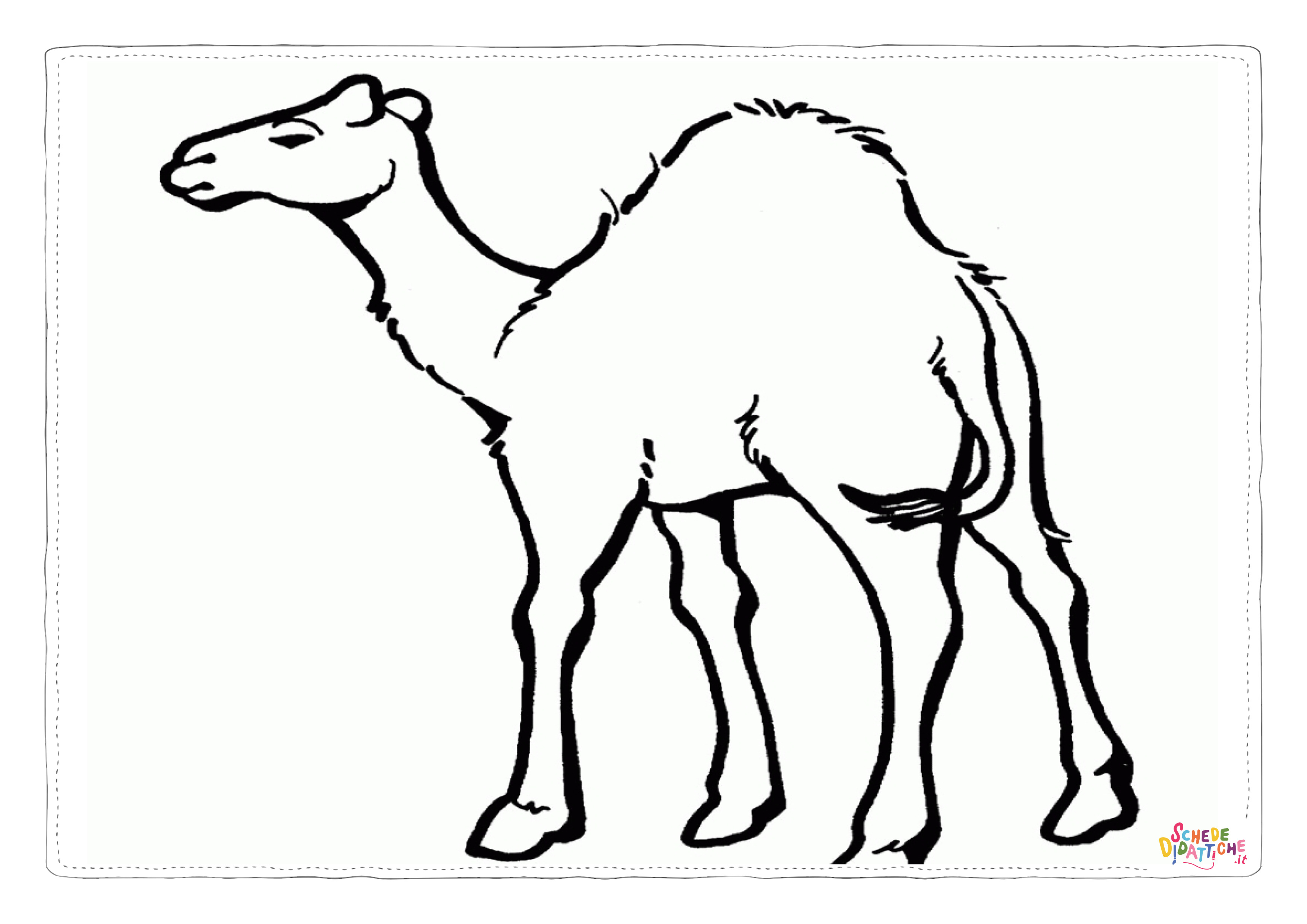Disegno di dromedario da stampare e colorare 29