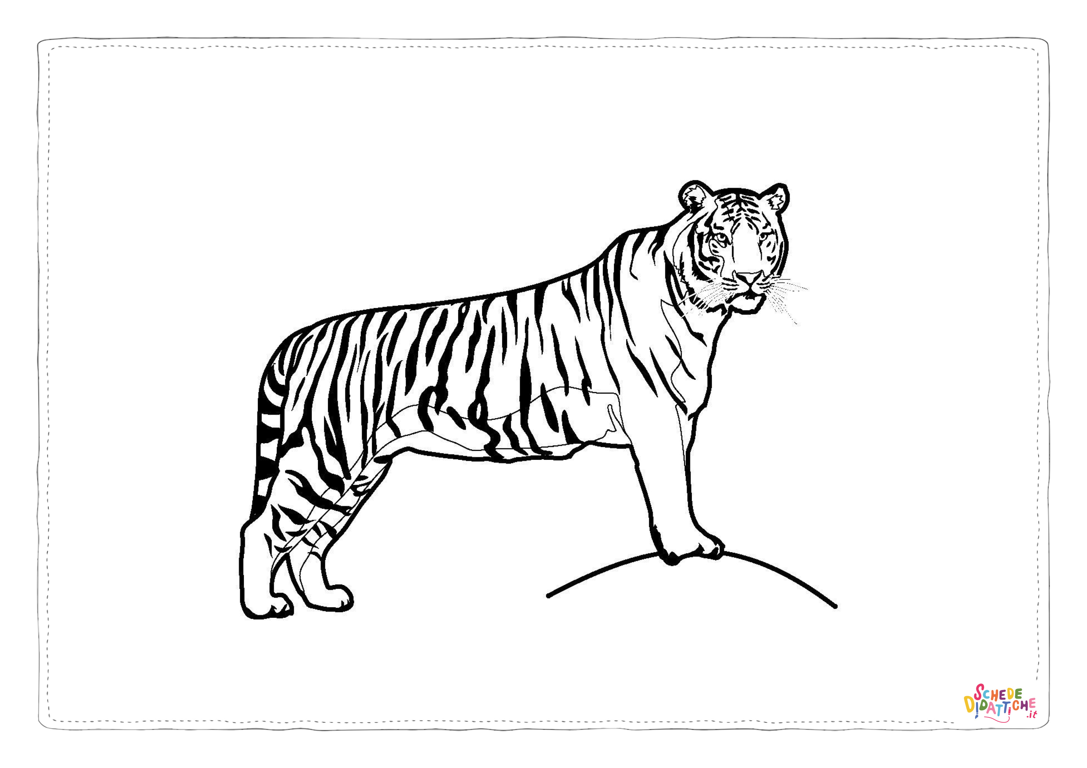 Disegno "Disegno di tigre da stampare e colorare 60" Disegno di tigre da stampare e colorare 60