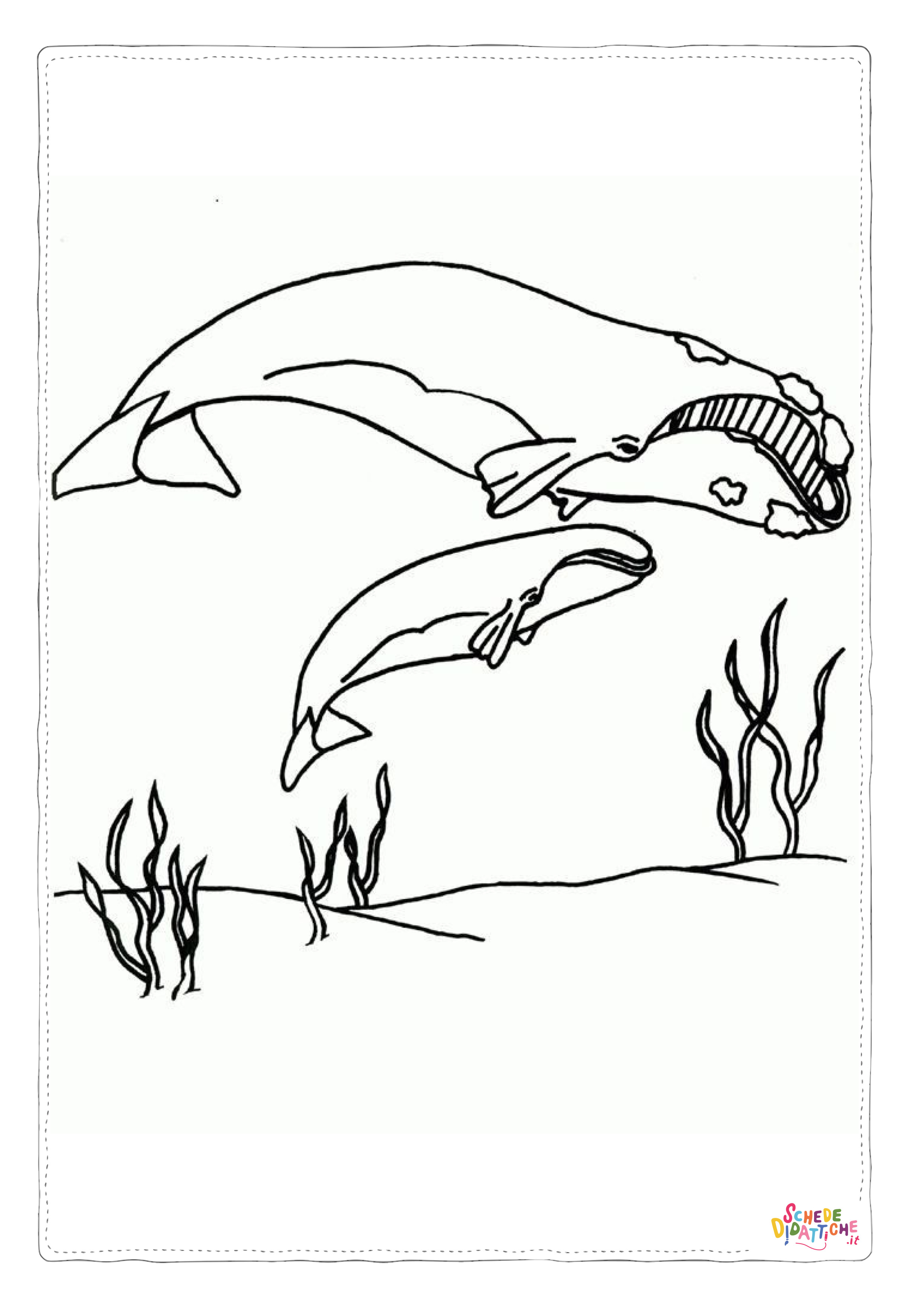 Disegno "Disegno di balena da stampare e colorare" Disegno di balena da stampare e colorare