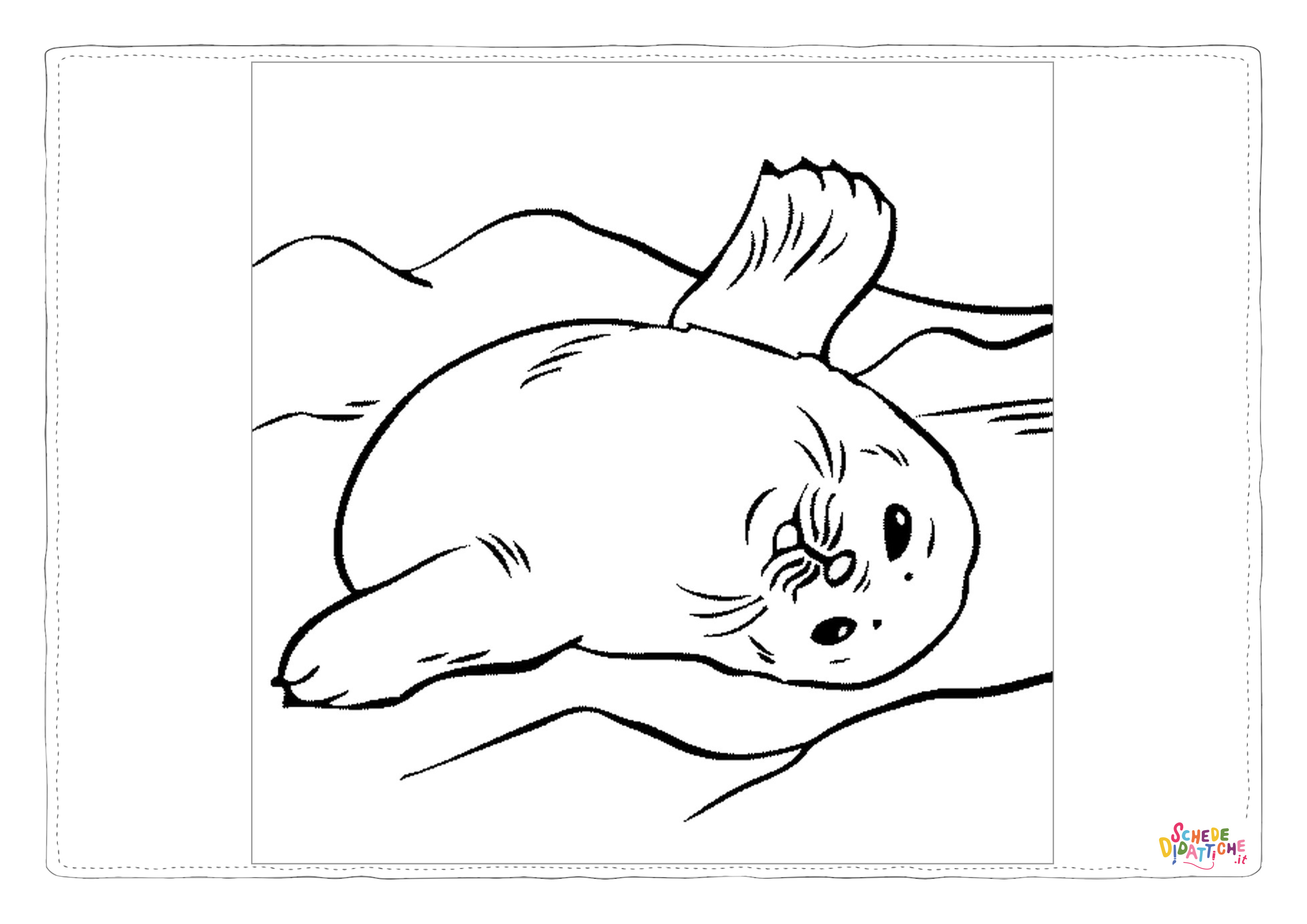 Disegno "Disegno di foca da stampare e colorare 31" Disegno di foca da stampare e colorare 31
