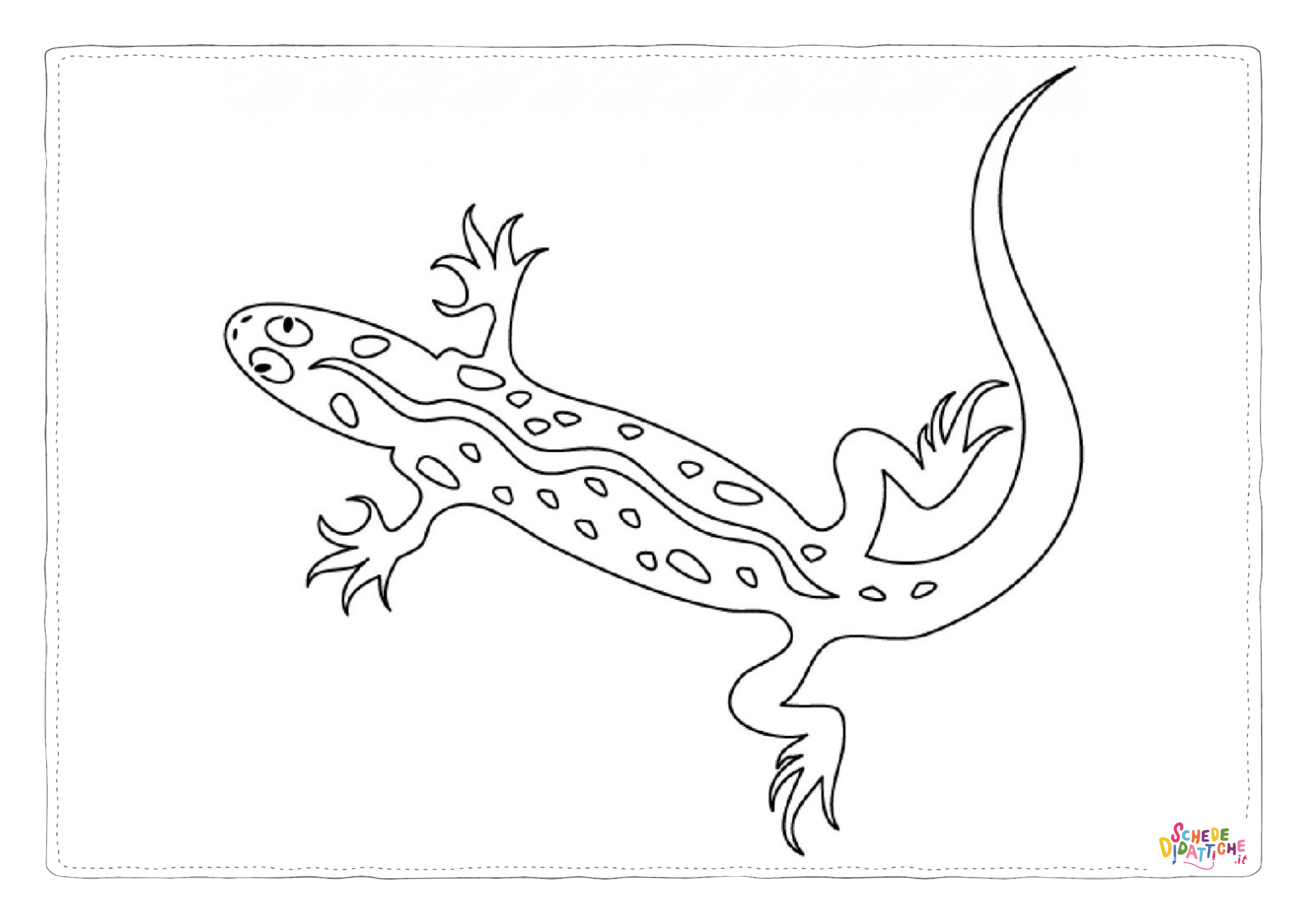 Disegno "Disegno di lucertola da stampare e colorare 18" Disegno di lucertola da stampare e colorare 18