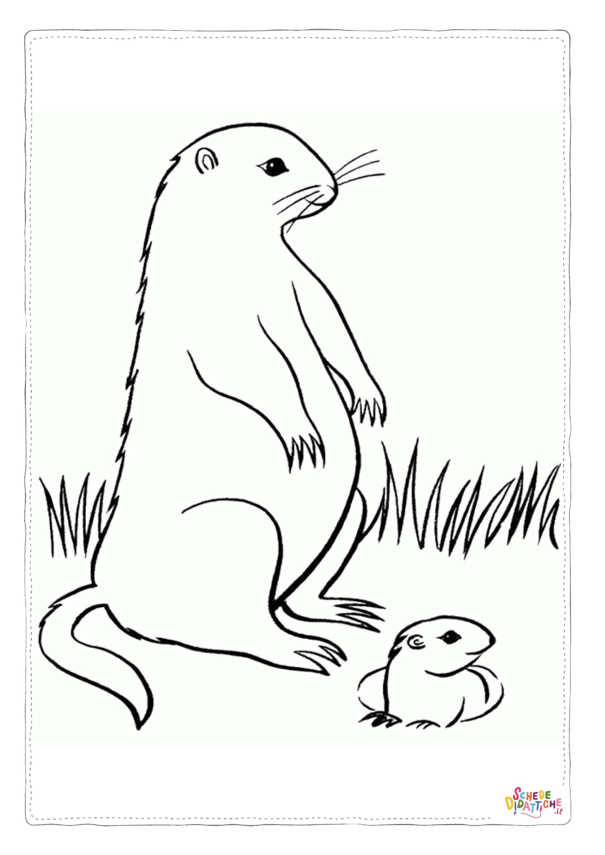 Disegno di lontra da stampare e colorare 12