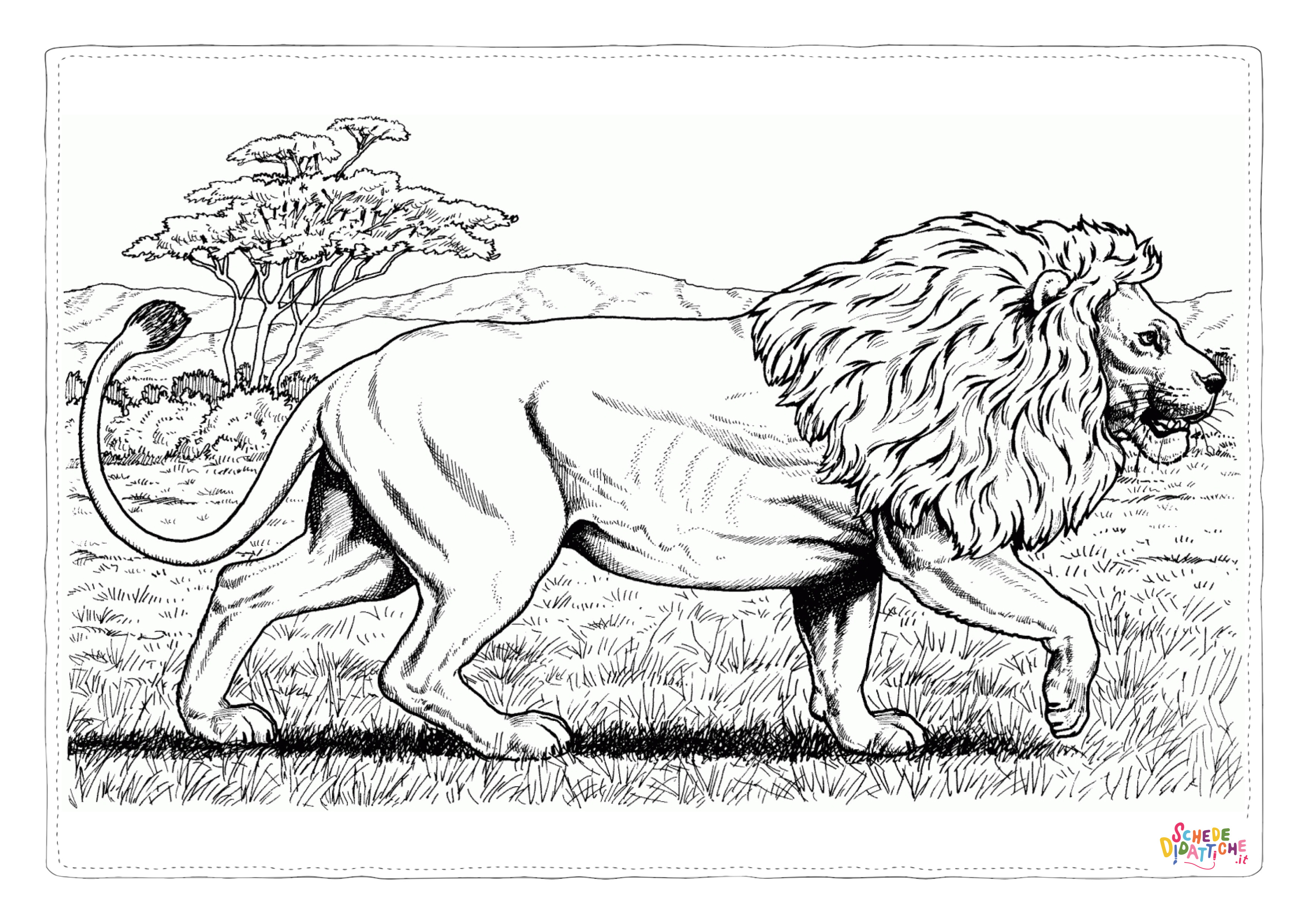 Disegno "Disegno di leone da stampare e colorare 54" Disegno di leone da stampare e colorare 54