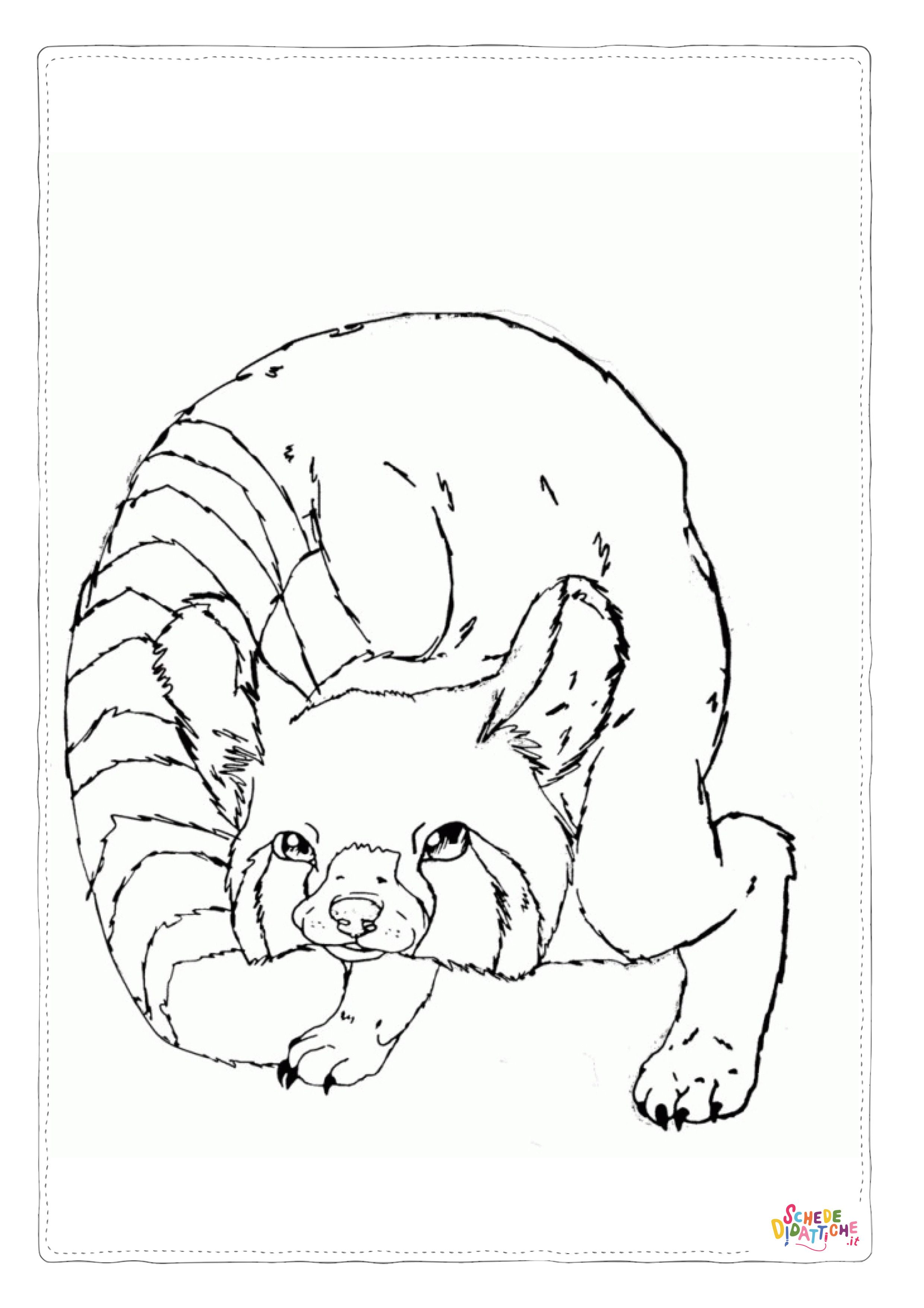 Disegno di procione da stampare e colorare 5