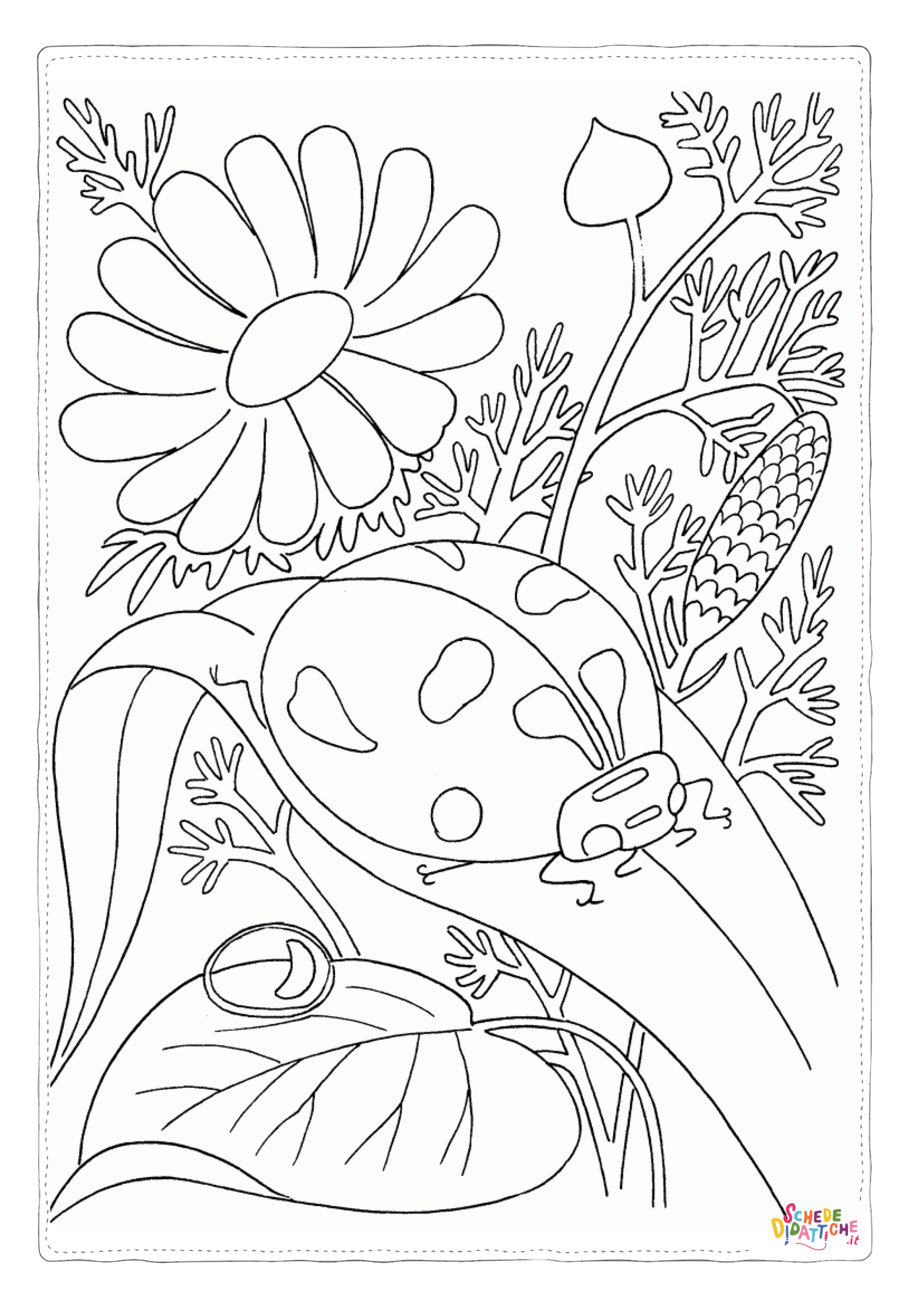Disegno di coccinella da stampare e colorare 19