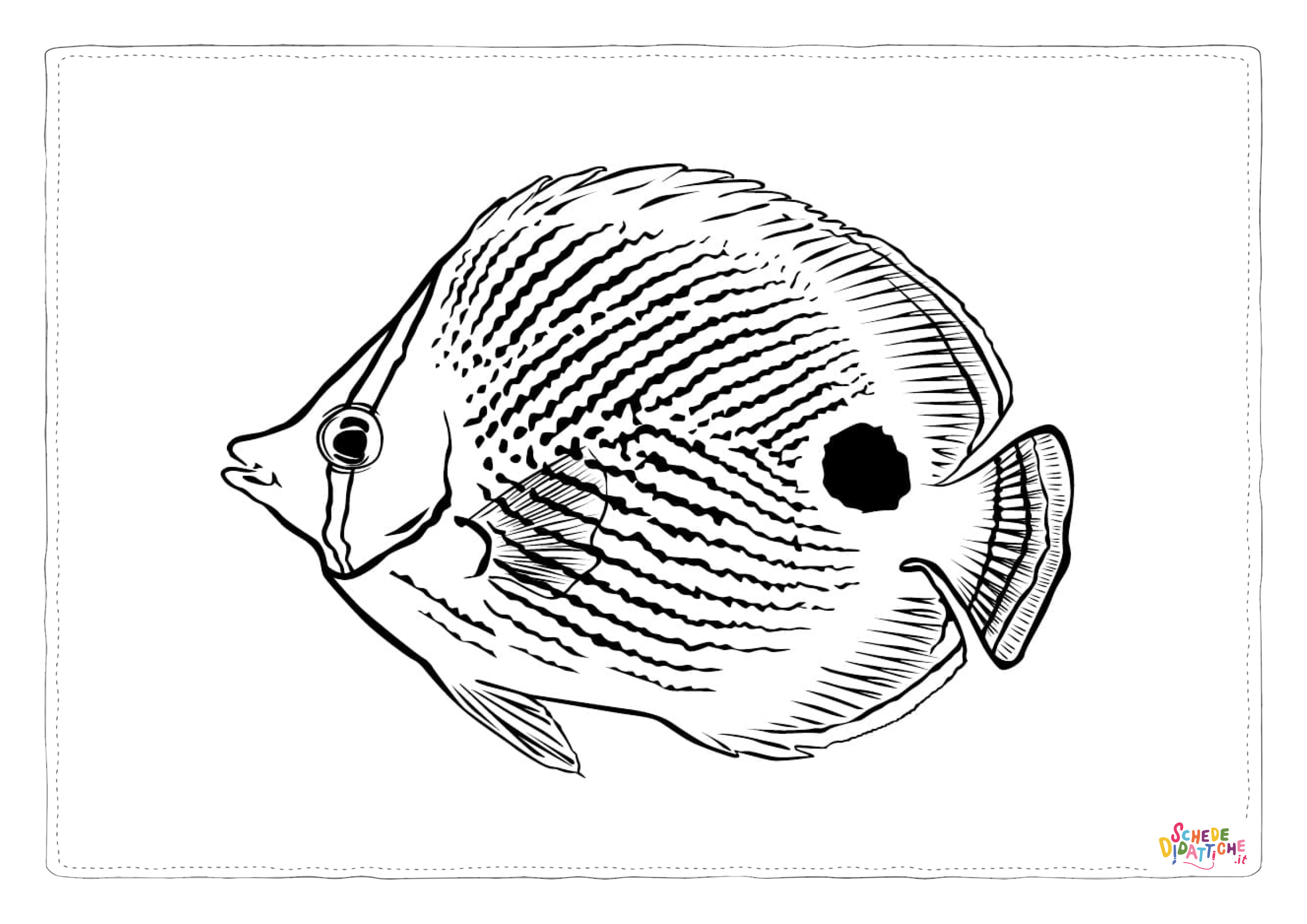 Disegno "Disegno di pesce da stampare e colorare 171" Disegno di pesce da stampare e colorare 171