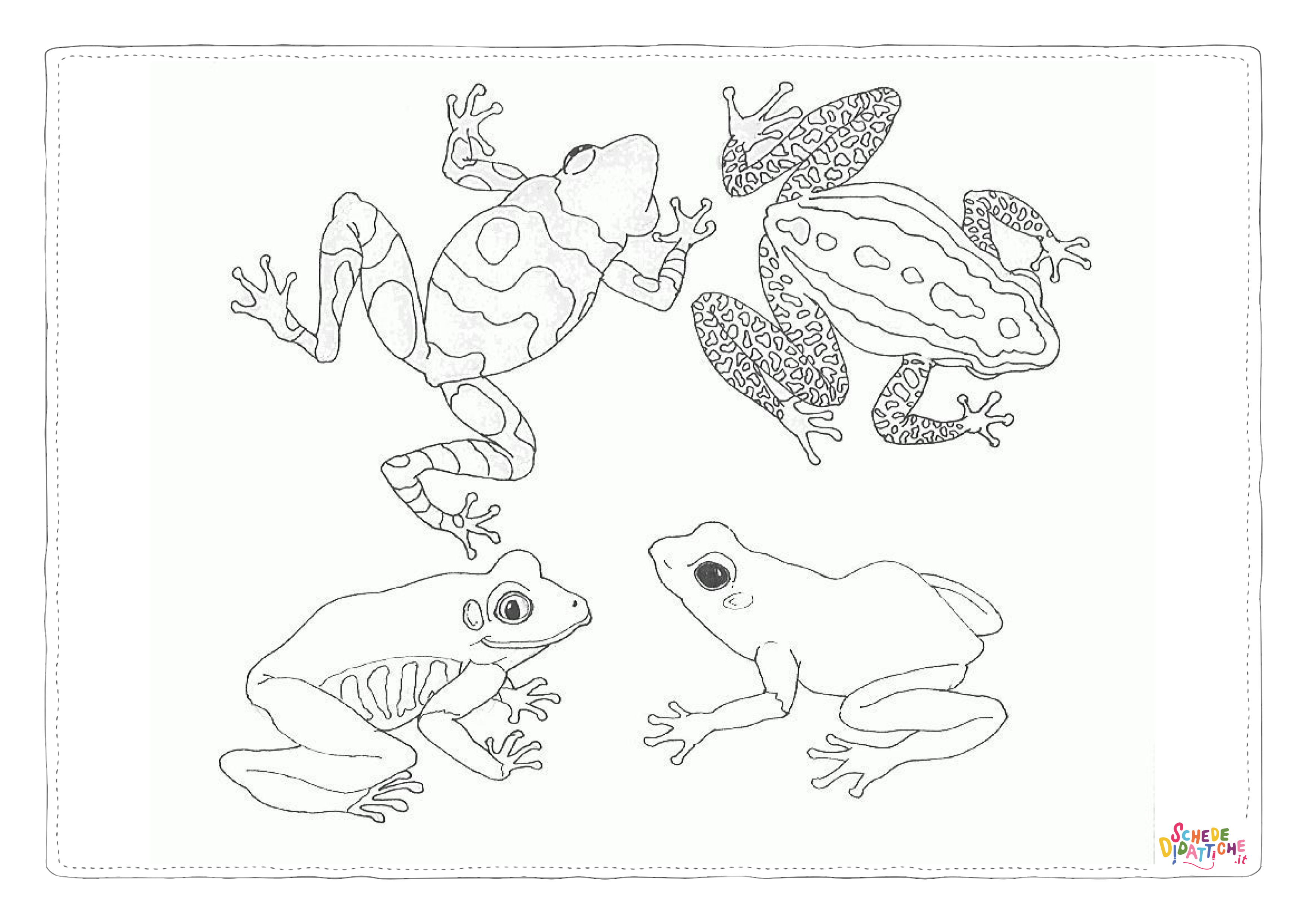 Disegno "Disegno di rana da stampare e colorare 126" Disegno di rana da stampare e colorare 126