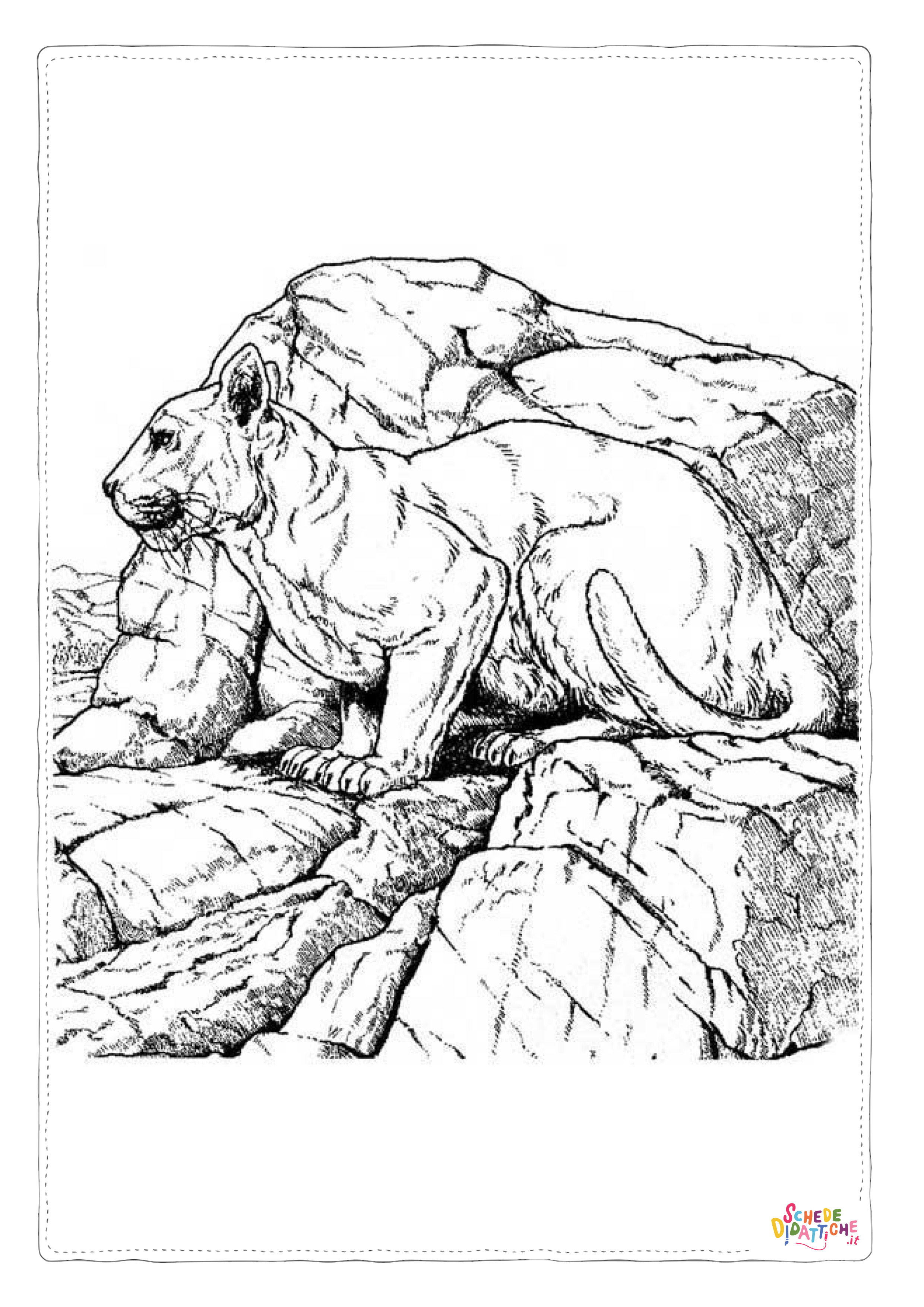 Disegno di giaguaro da stampare e colorare 3