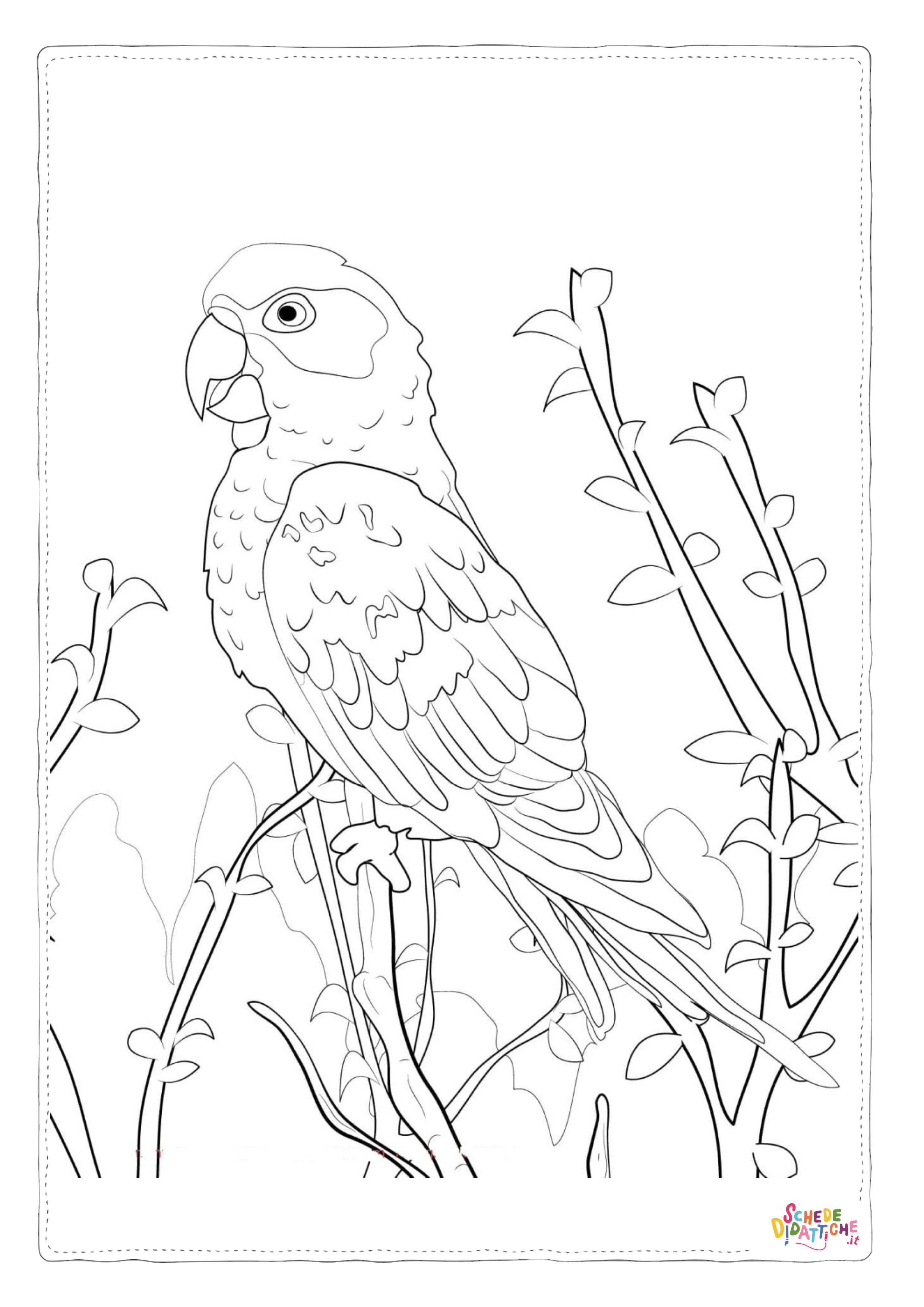 Disegno "Disegno di pappagallo da stampare e colorare 100" Disegno di pappagallo da stampare e colorare 100