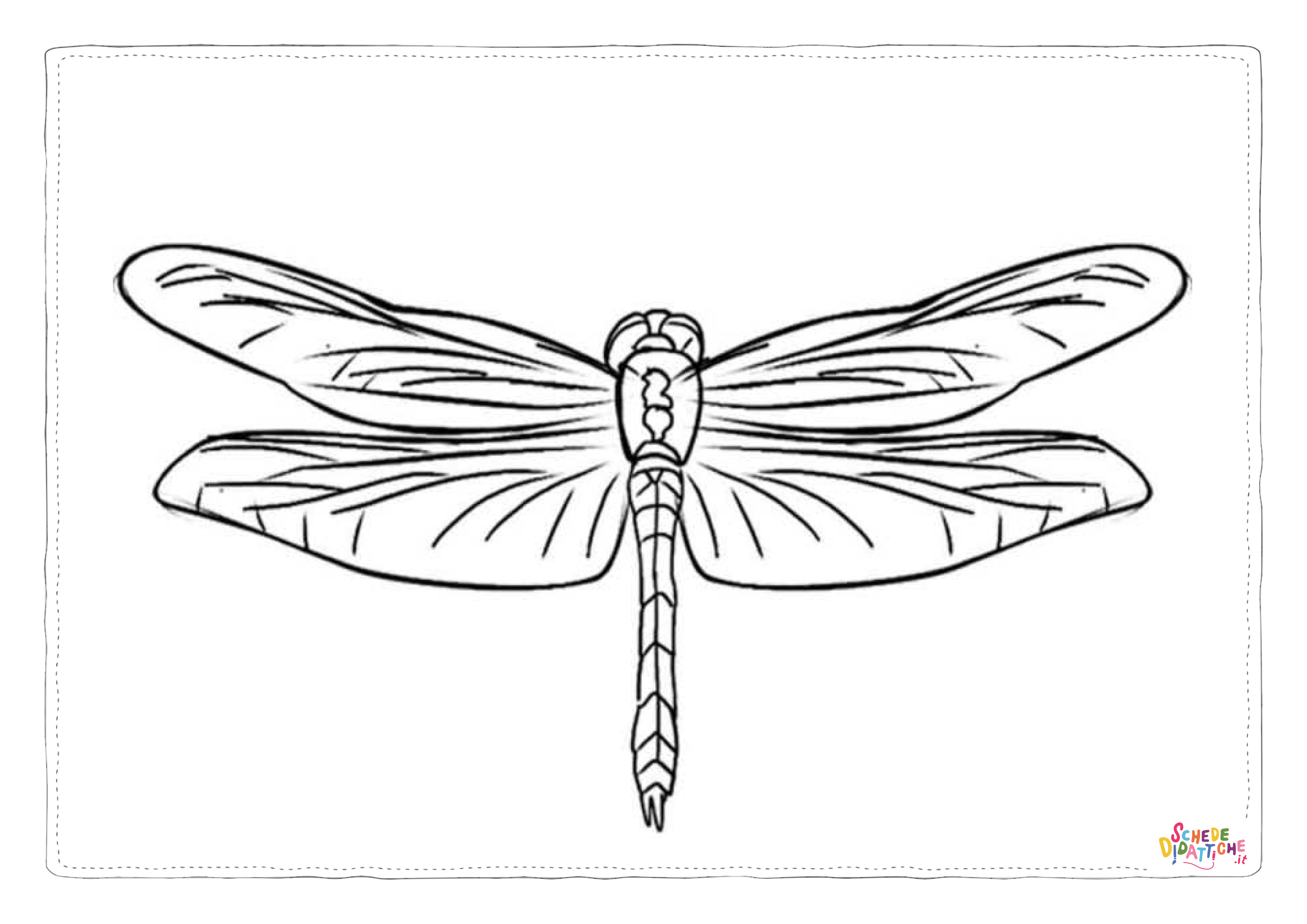 Disegno di libellula da stampare e colorare 21