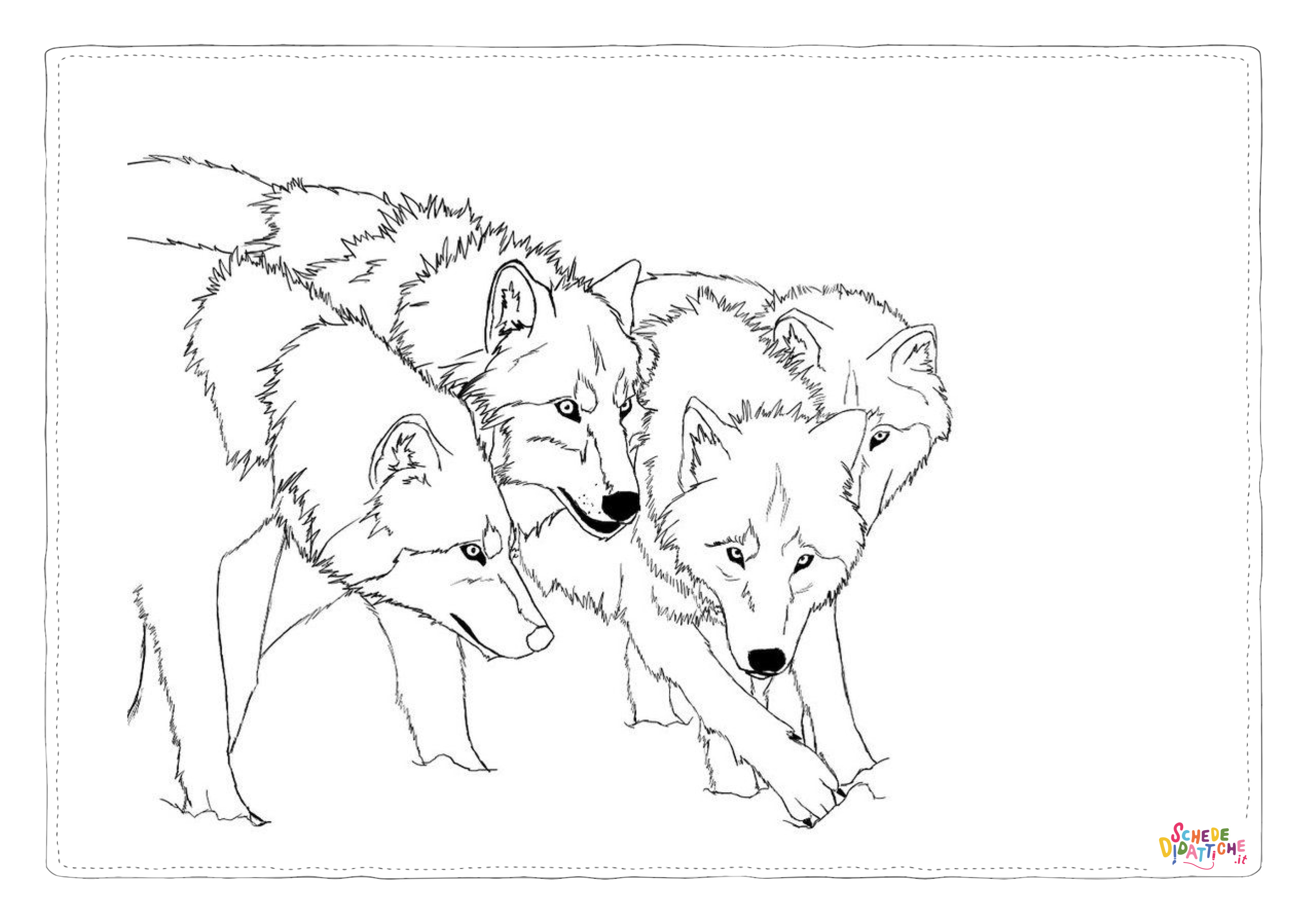Disegno di lupo da stampare e colorare 10
